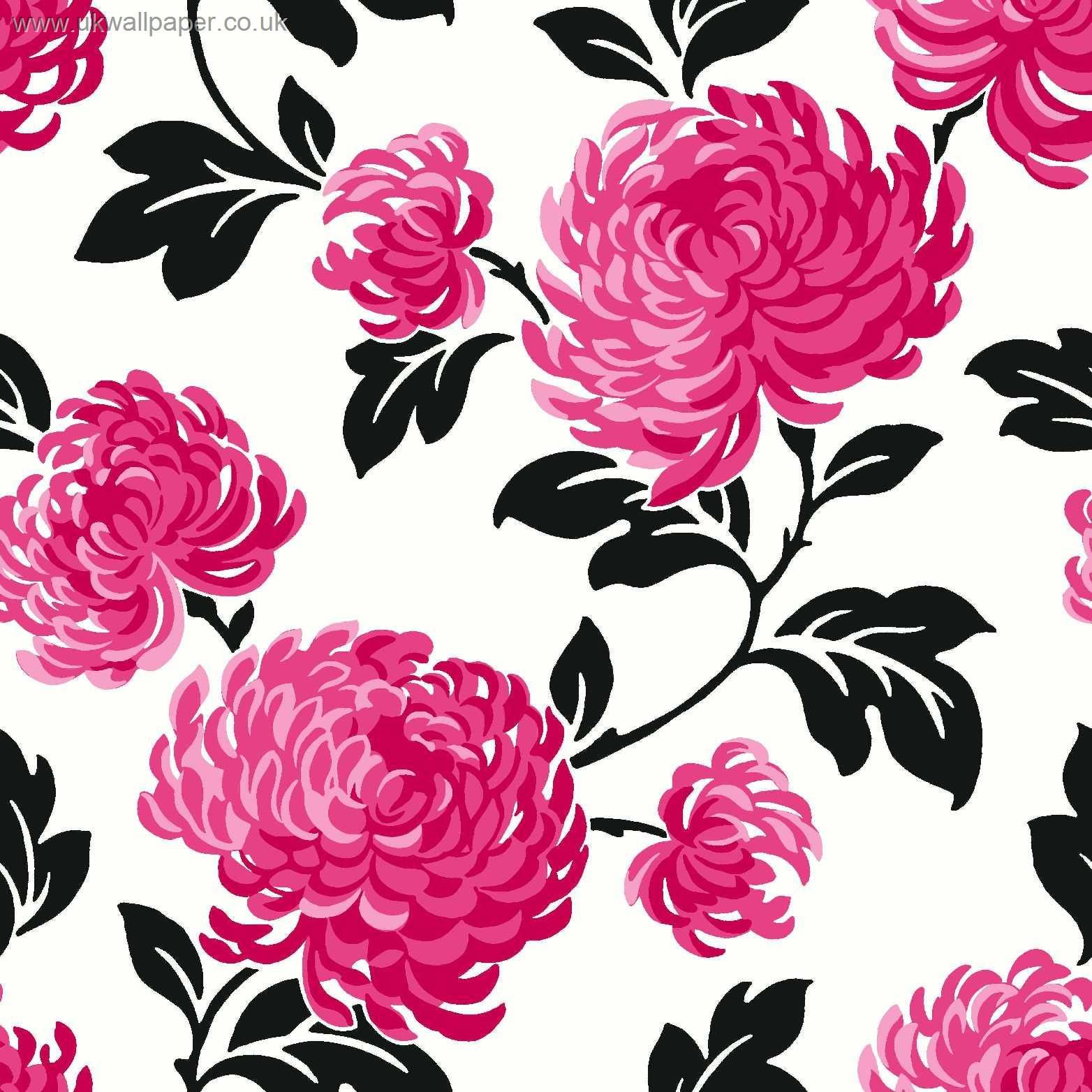 Black Pink Floral Wallpapers