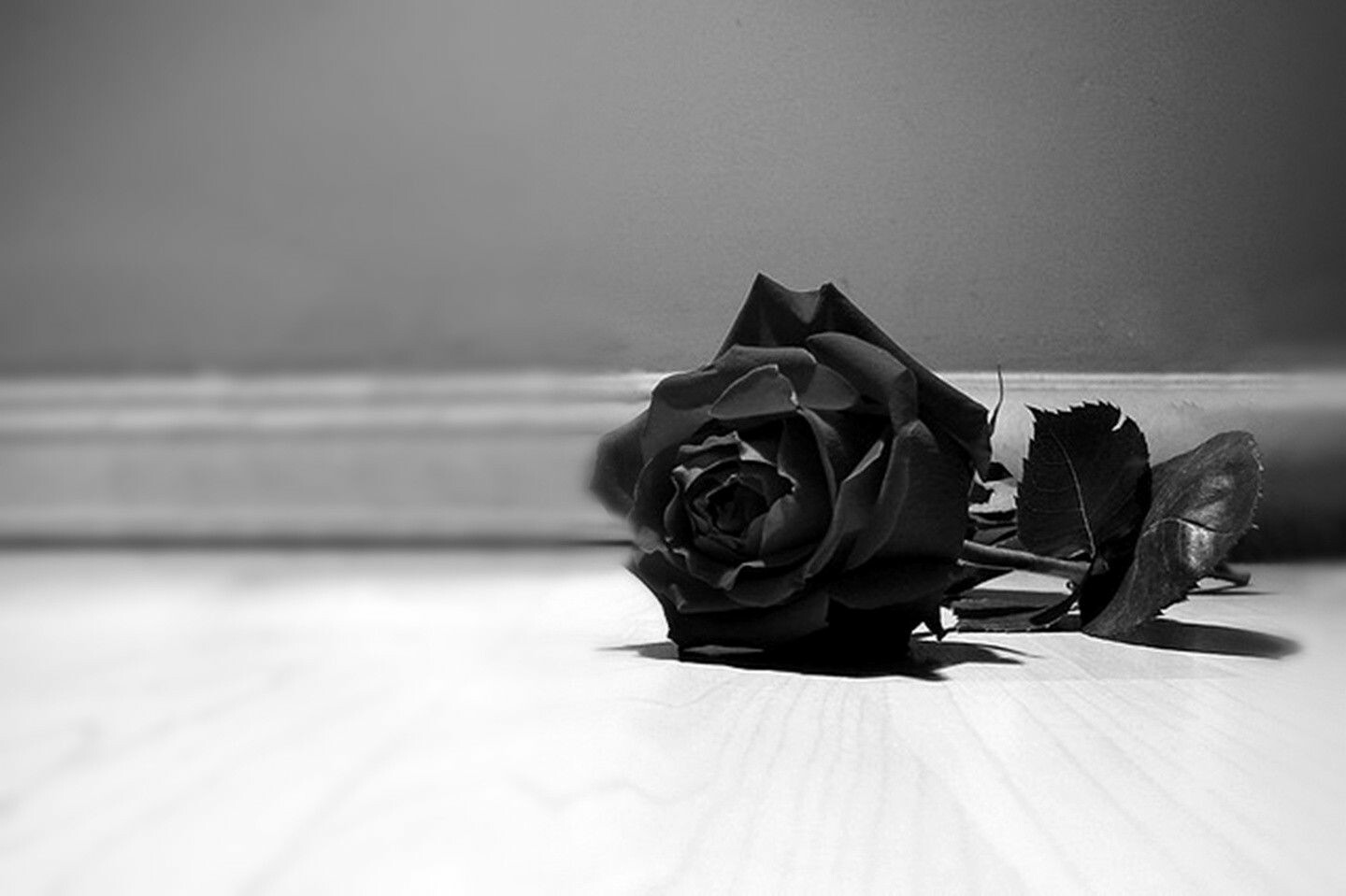 Black Roses Wallpapers