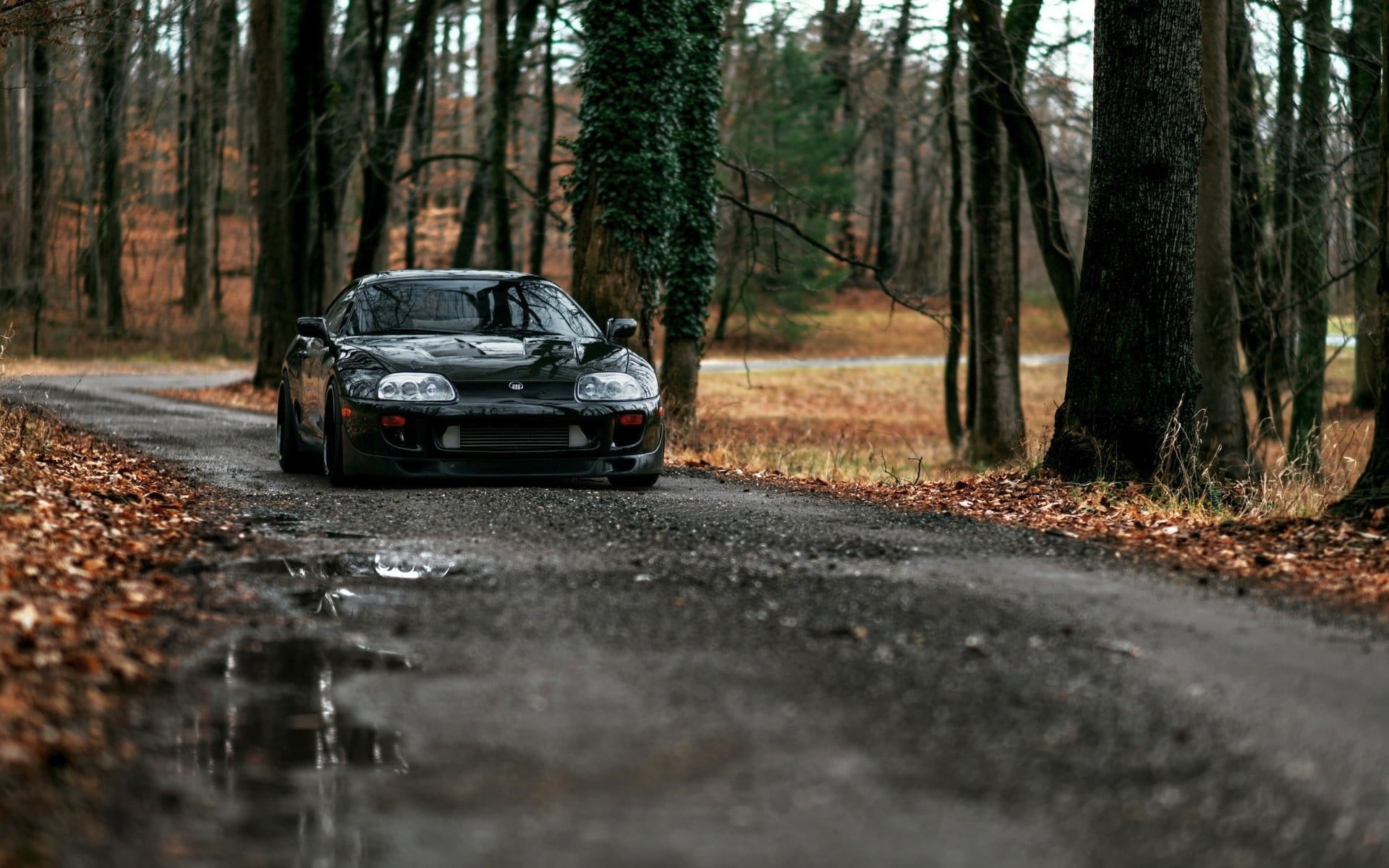 Black Supra Wallpapers