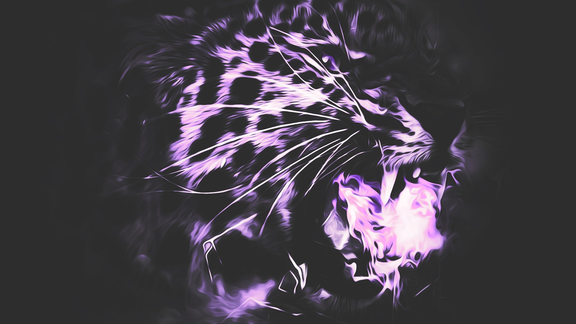 Black Tiger Hd Wallpapers