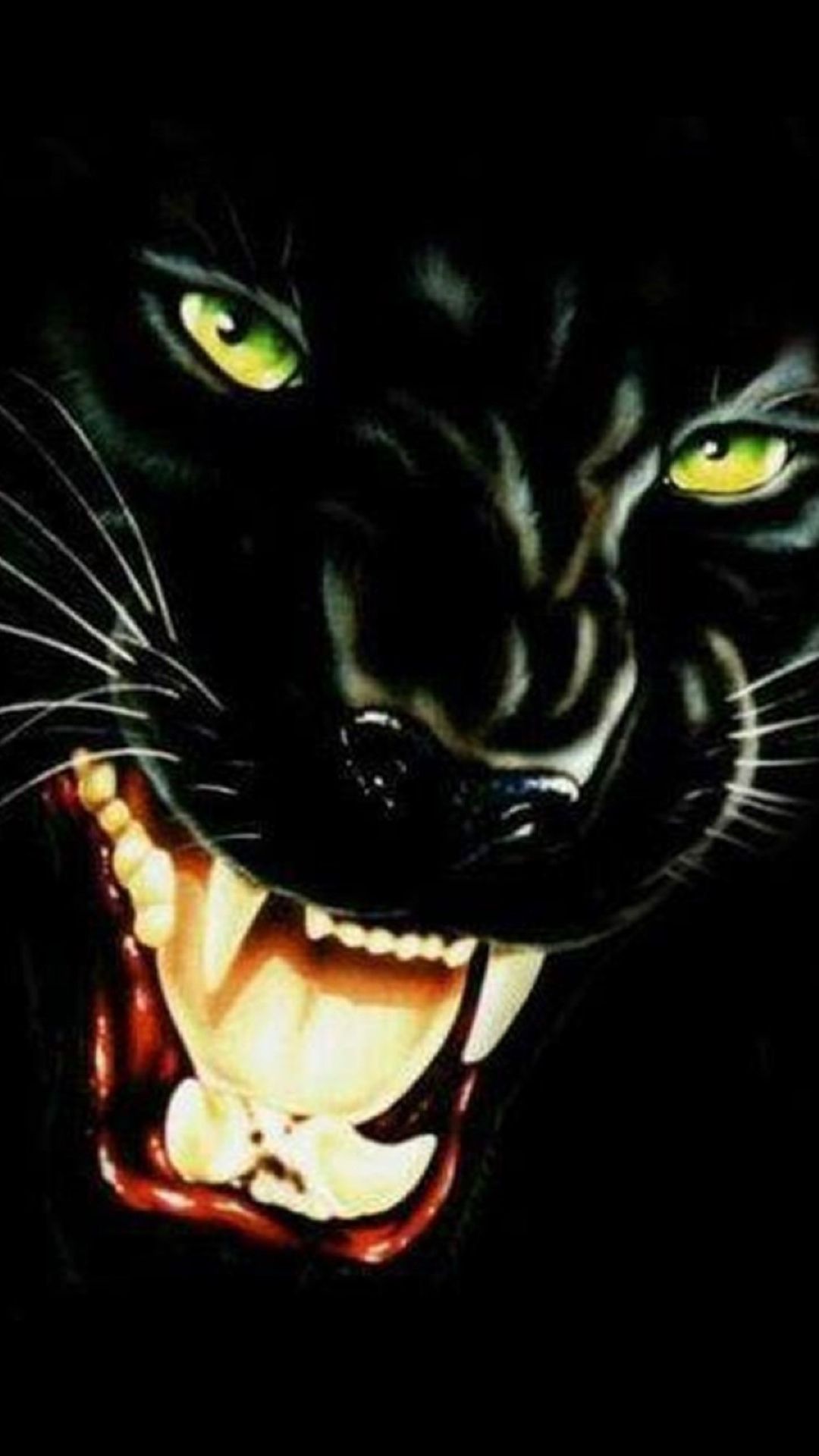 Black Tiger Hd Wallpapers