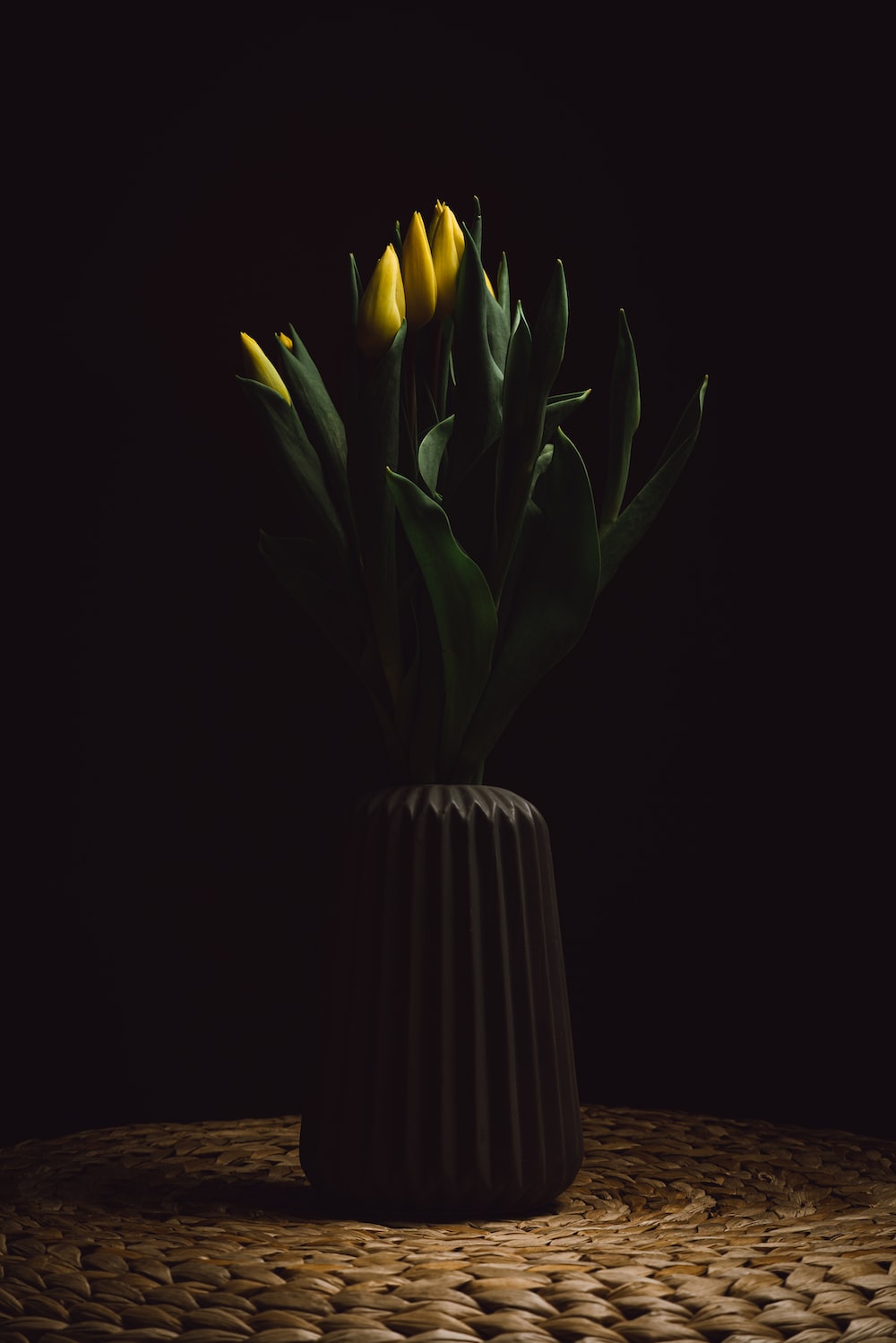 Black Tulip Wallpapers