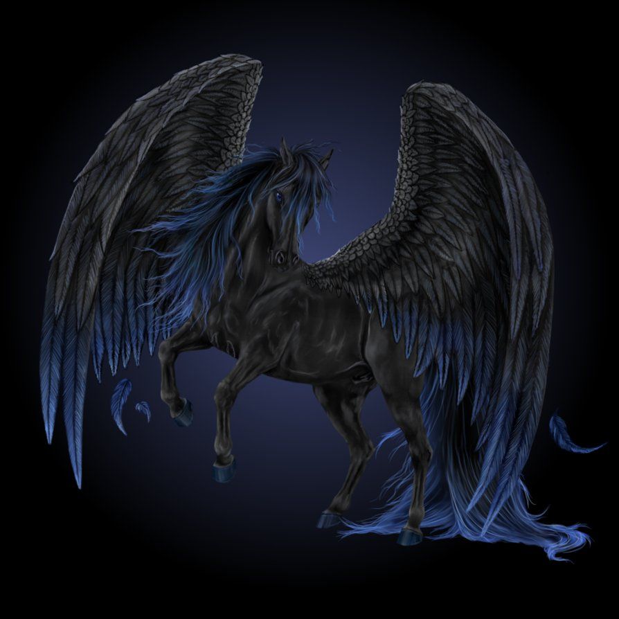 Black Unicorns With Wings Wallpapers