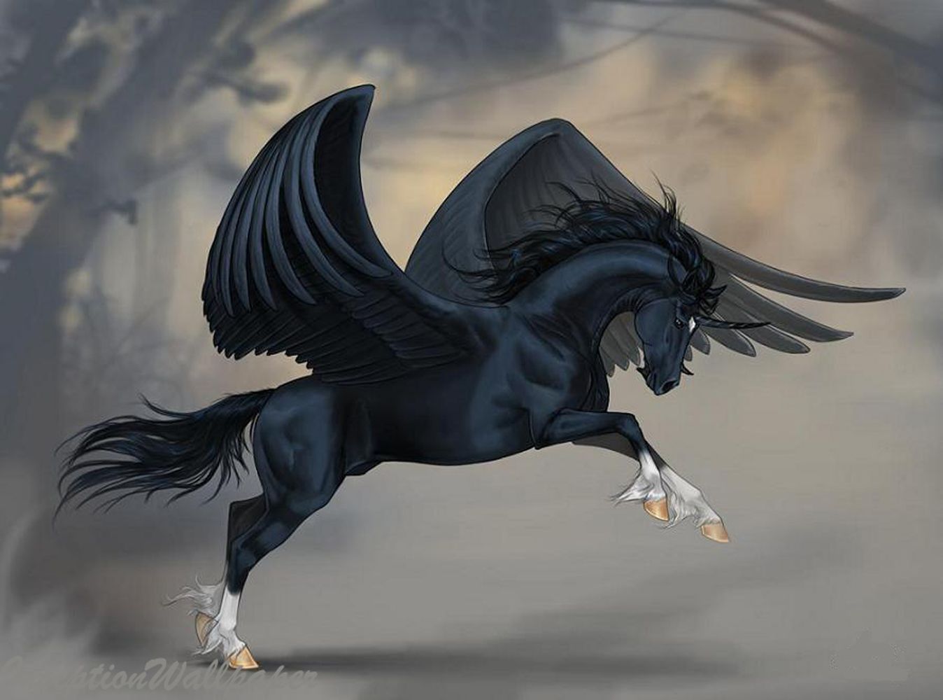 Black Unicorns With Wings Wallpapers