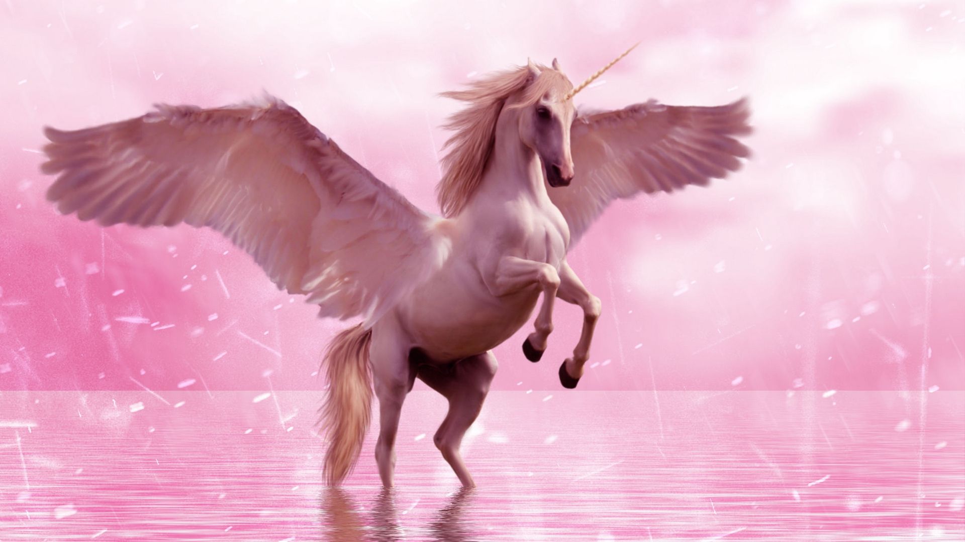 Black Unicorns With Wings Wallpapers