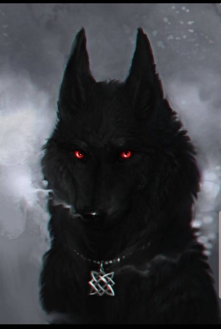 Black Wolf Red Eyes Wallpapers