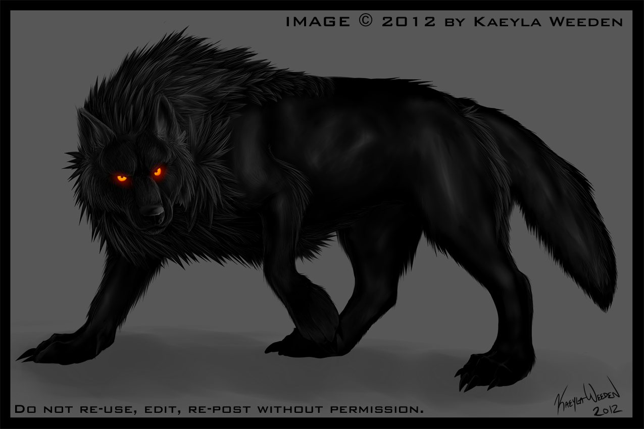 Black Wolf Red Eyes Wallpapers