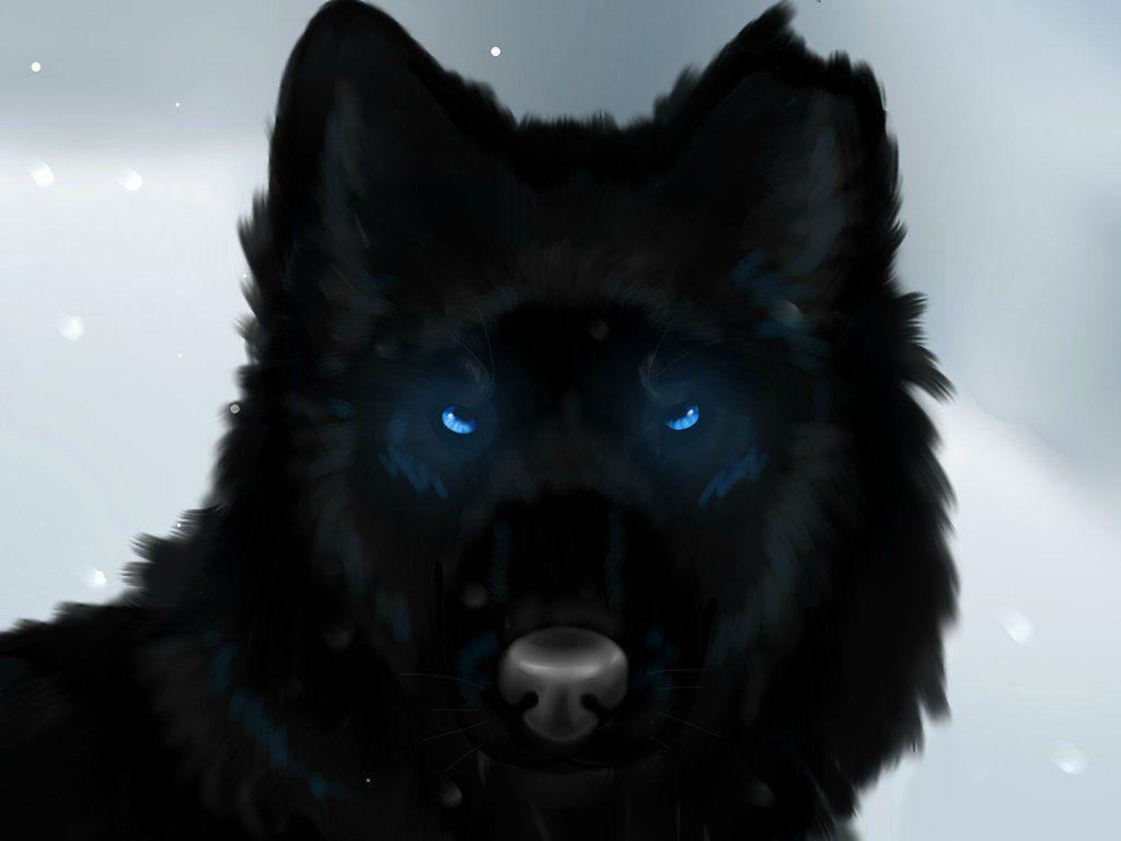 Black Wolf Red Eyes Wallpapers