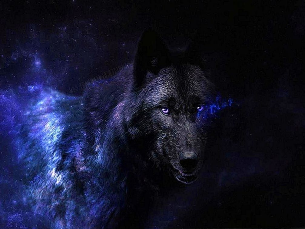 Black Wolves With Blue Eyes Wallpapers