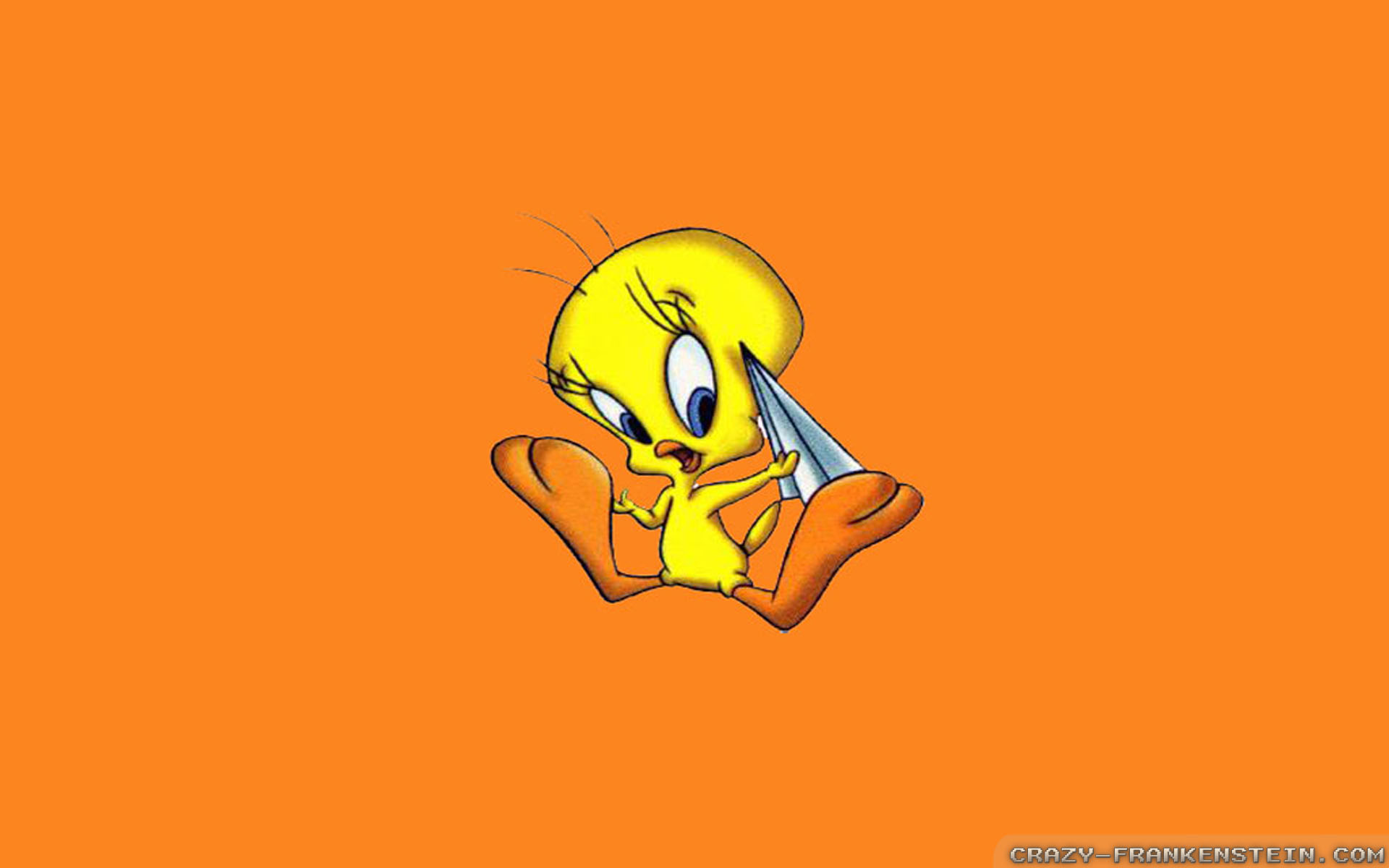 Blank Looney Tunes Logo Wallpapers