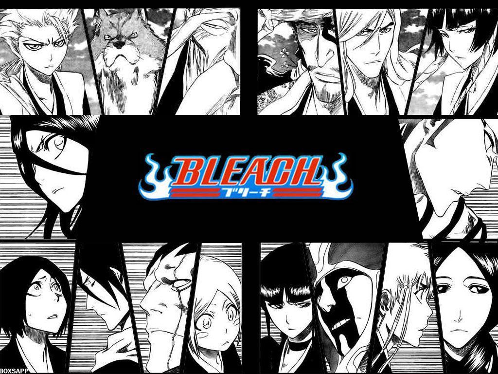 Bleach Captains Wallpapers