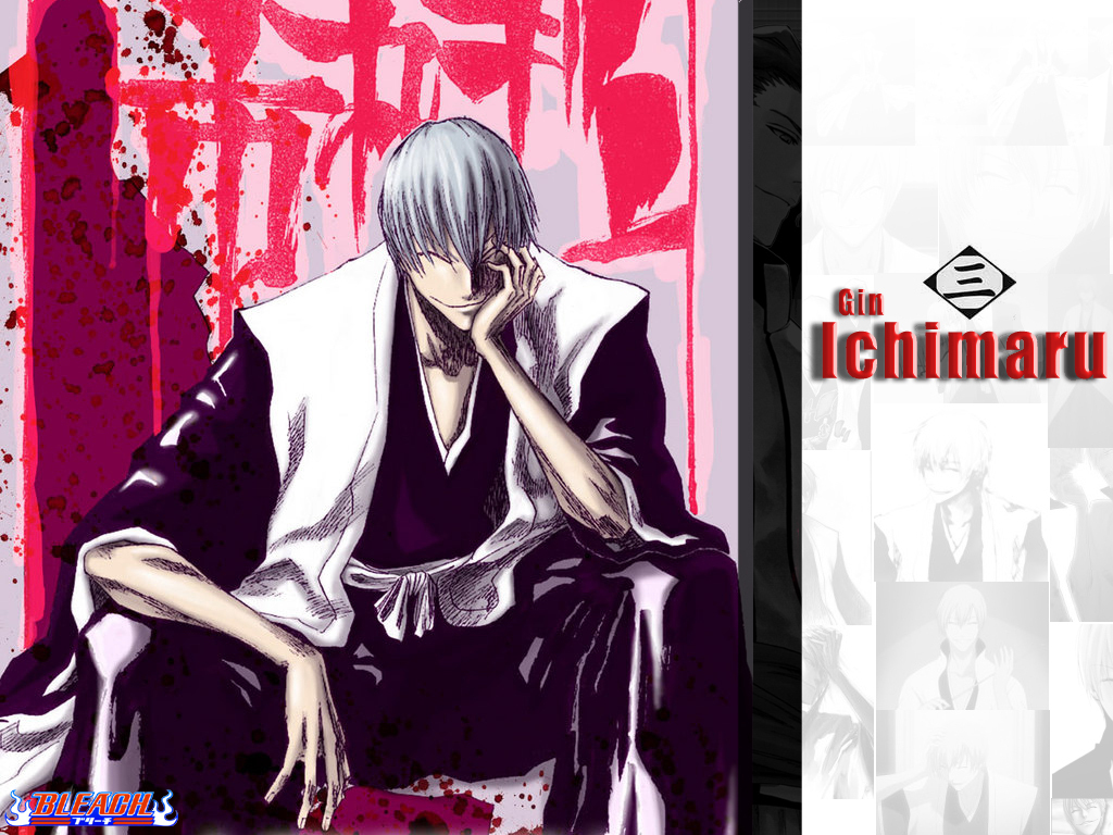 Bleach Gin Wallpapers