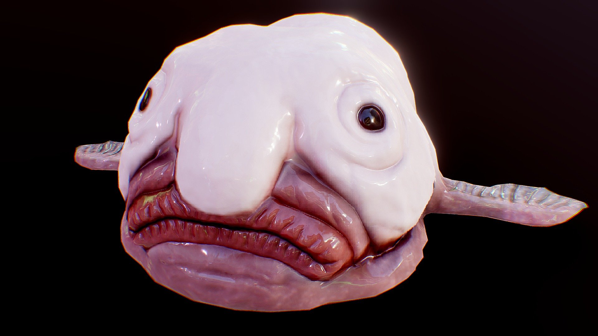 Blobfish Wallpapers