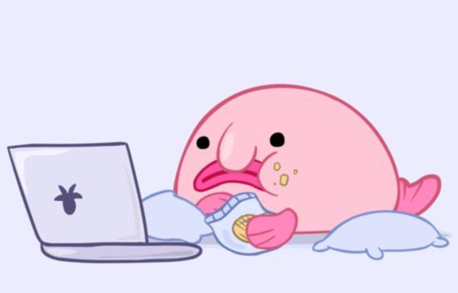 Blobfish Wallpapers