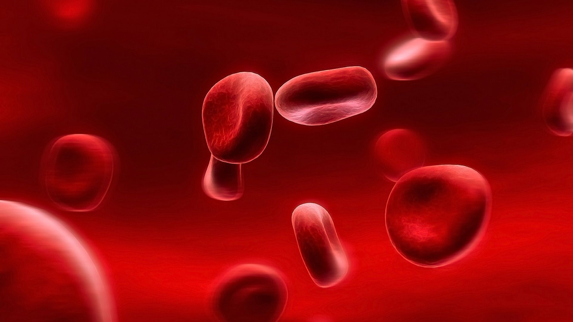 Blood Cells Wallpapers