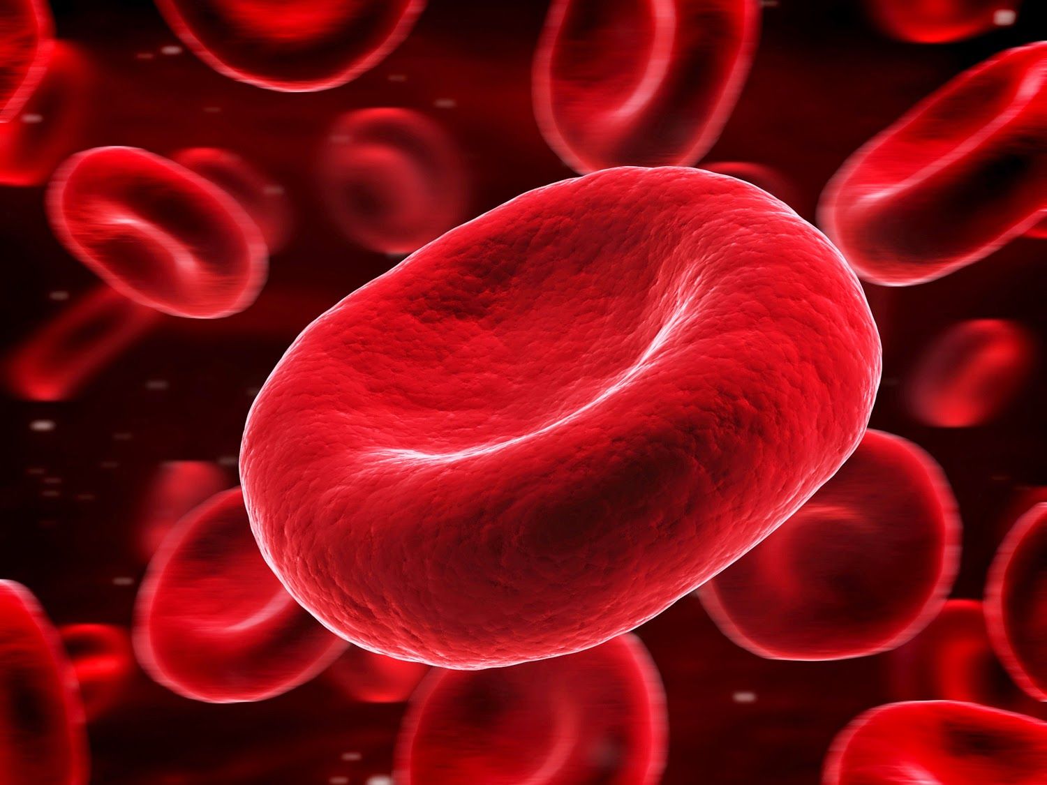 Blood Cells Wallpapers