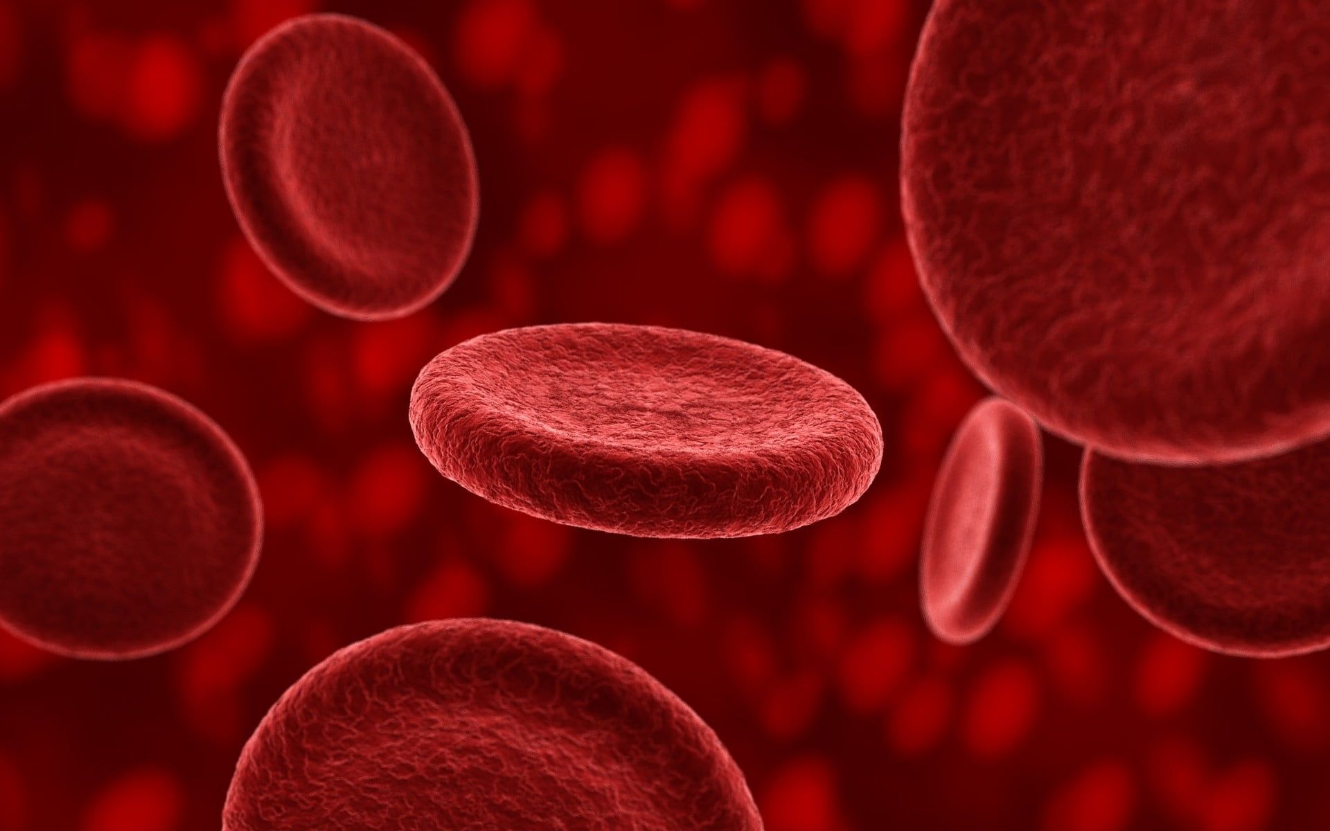 Blood Cells Wallpapers