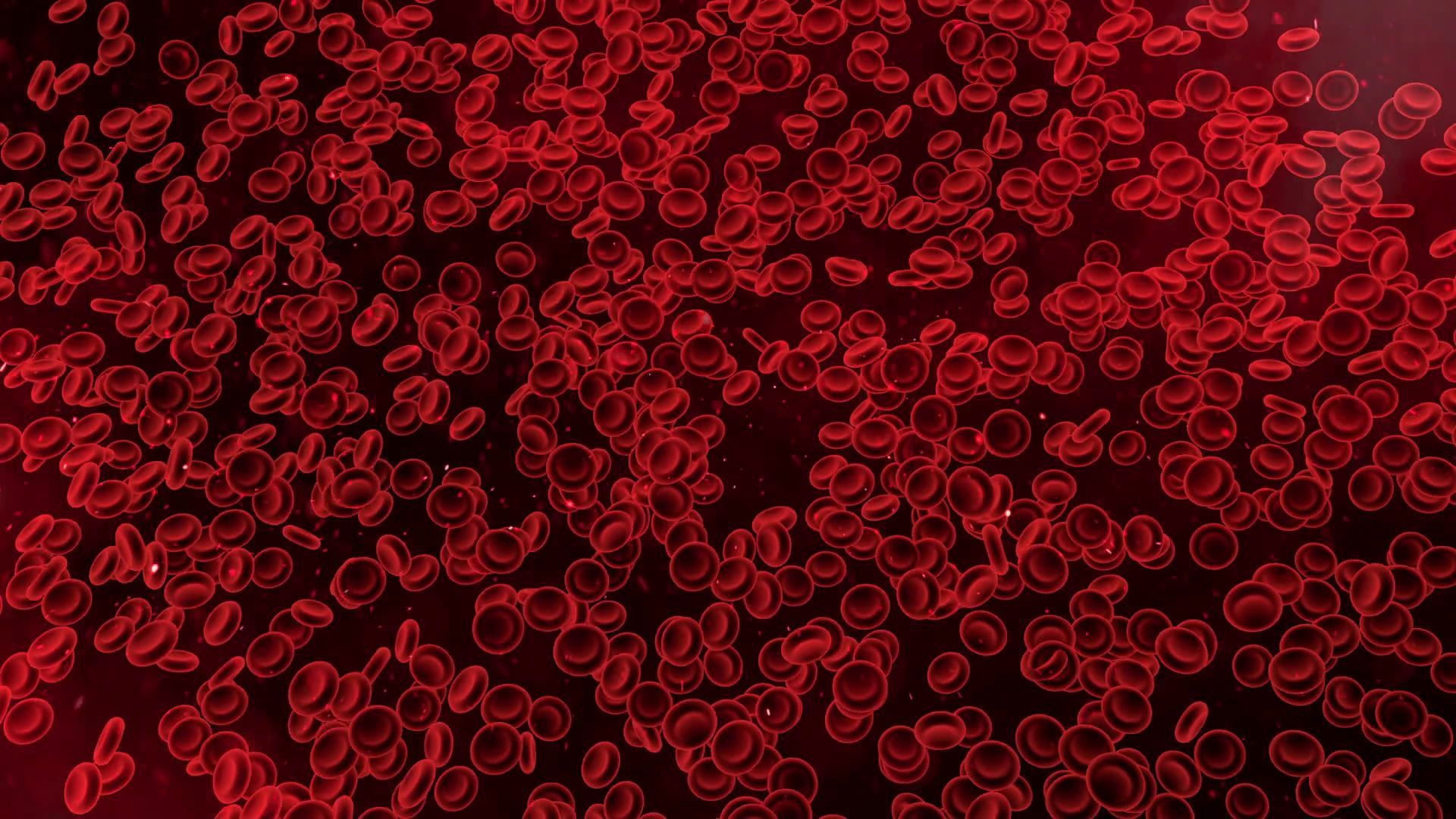 Blood Cells Wallpapers