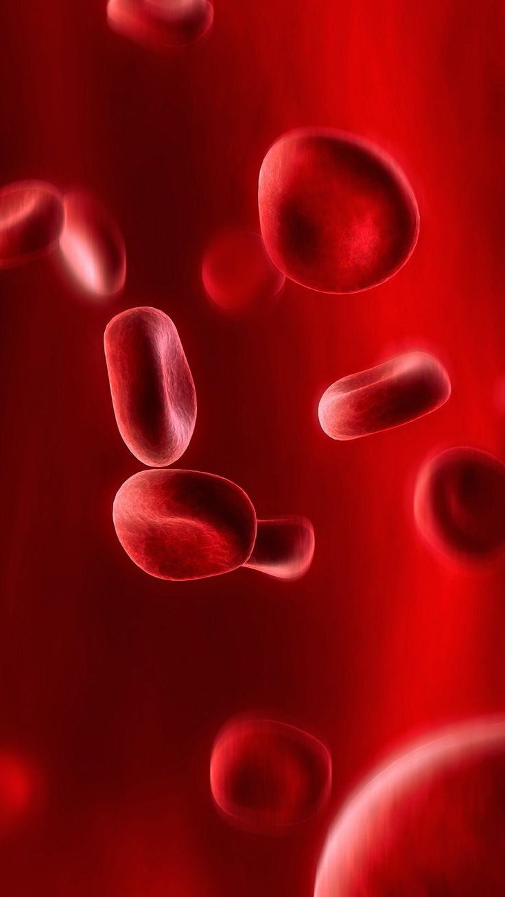 Blood Cells Wallpapers