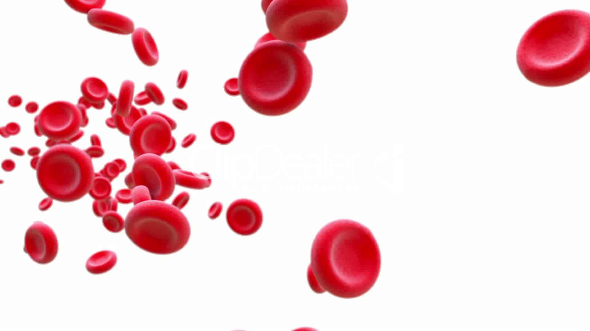 Blood Cells Wallpapers