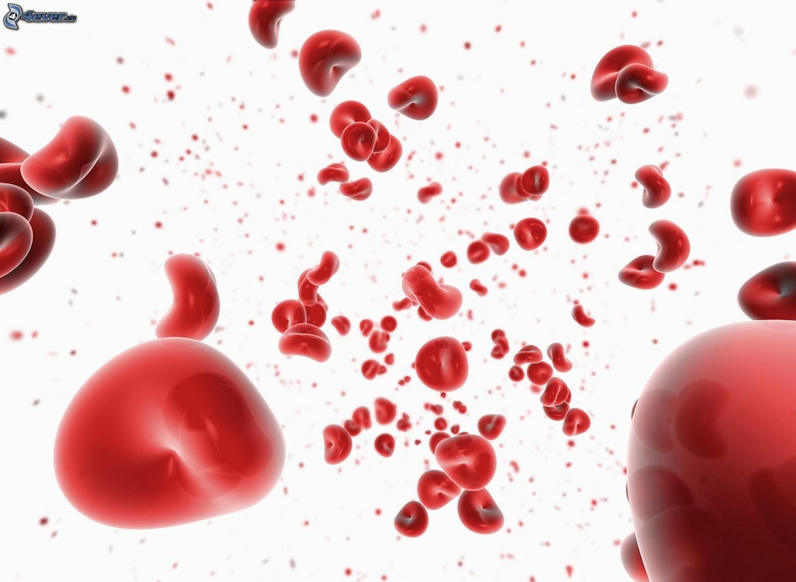 Blood Cells Wallpapers