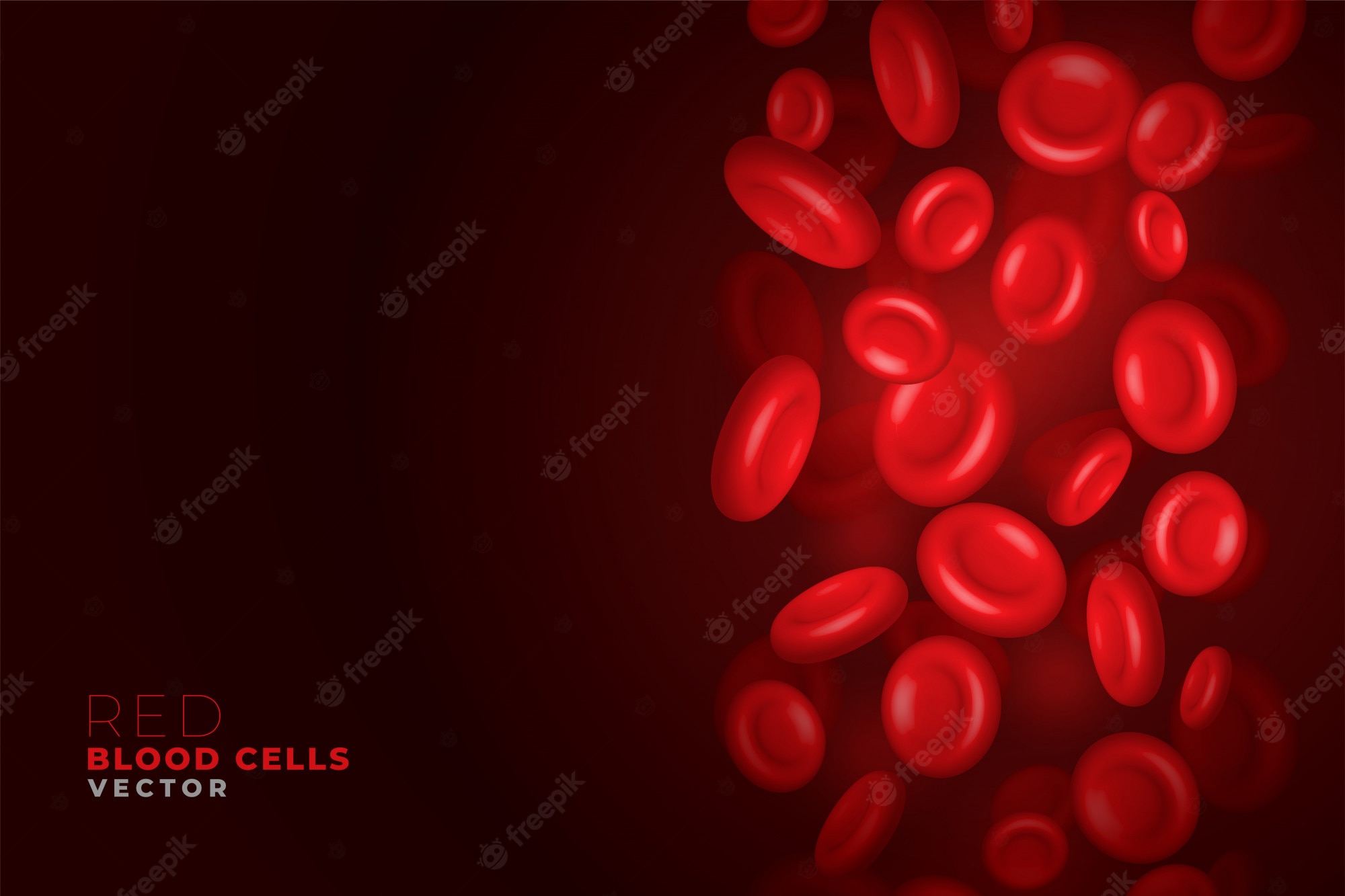 Blood Cells Wallpapers