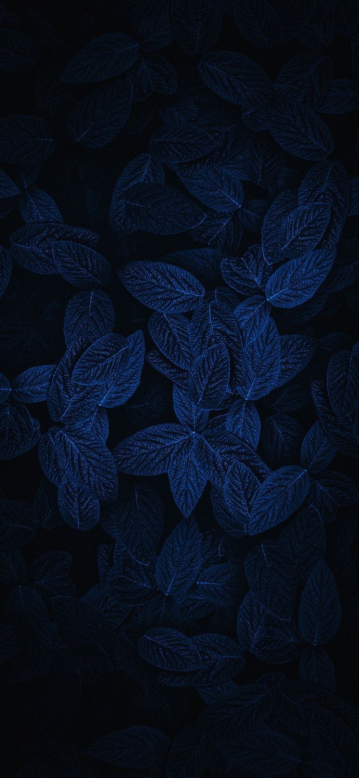 Blue Amoled Wallpapers