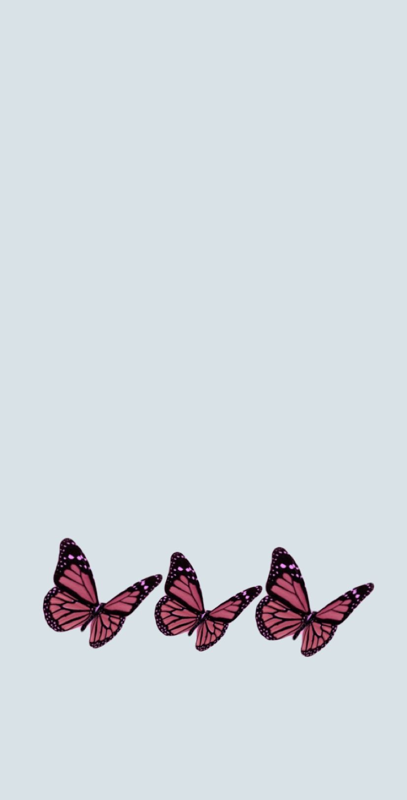 Blue And Pink Butterfly Wallpapers