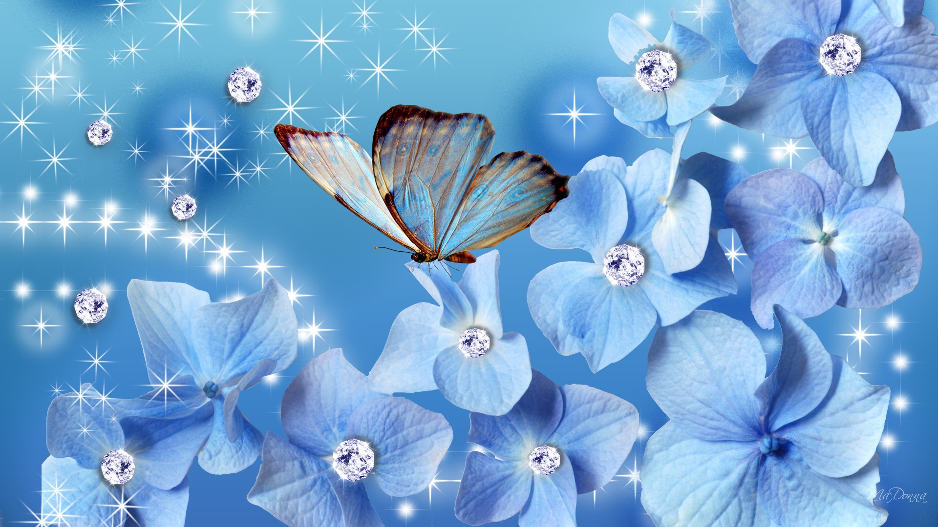 Blue And Pink Butterfly Wallpapers