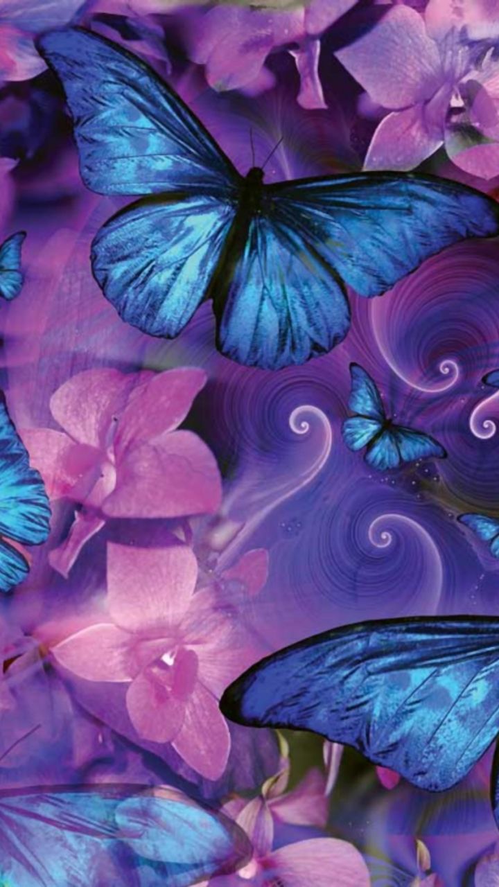 Blue And Pink Butterfly Wallpapers