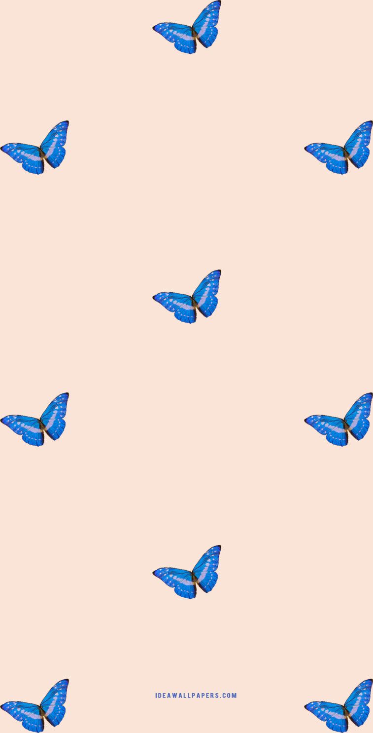 Blue And Pink Butterfly Wallpapers