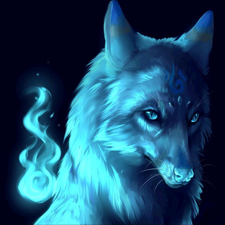 Blue Anime Wolf Wallpapers