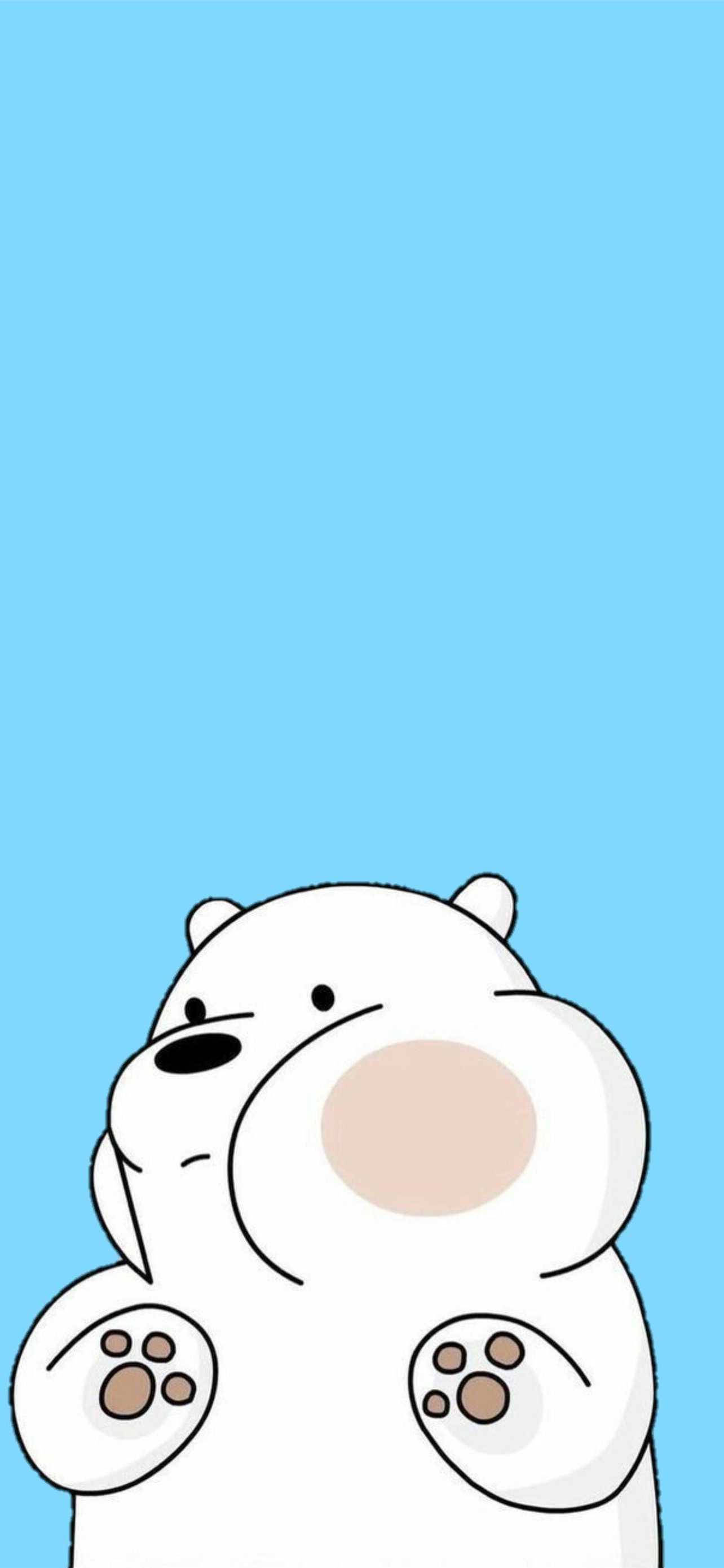 Blue Bear Wallpapers