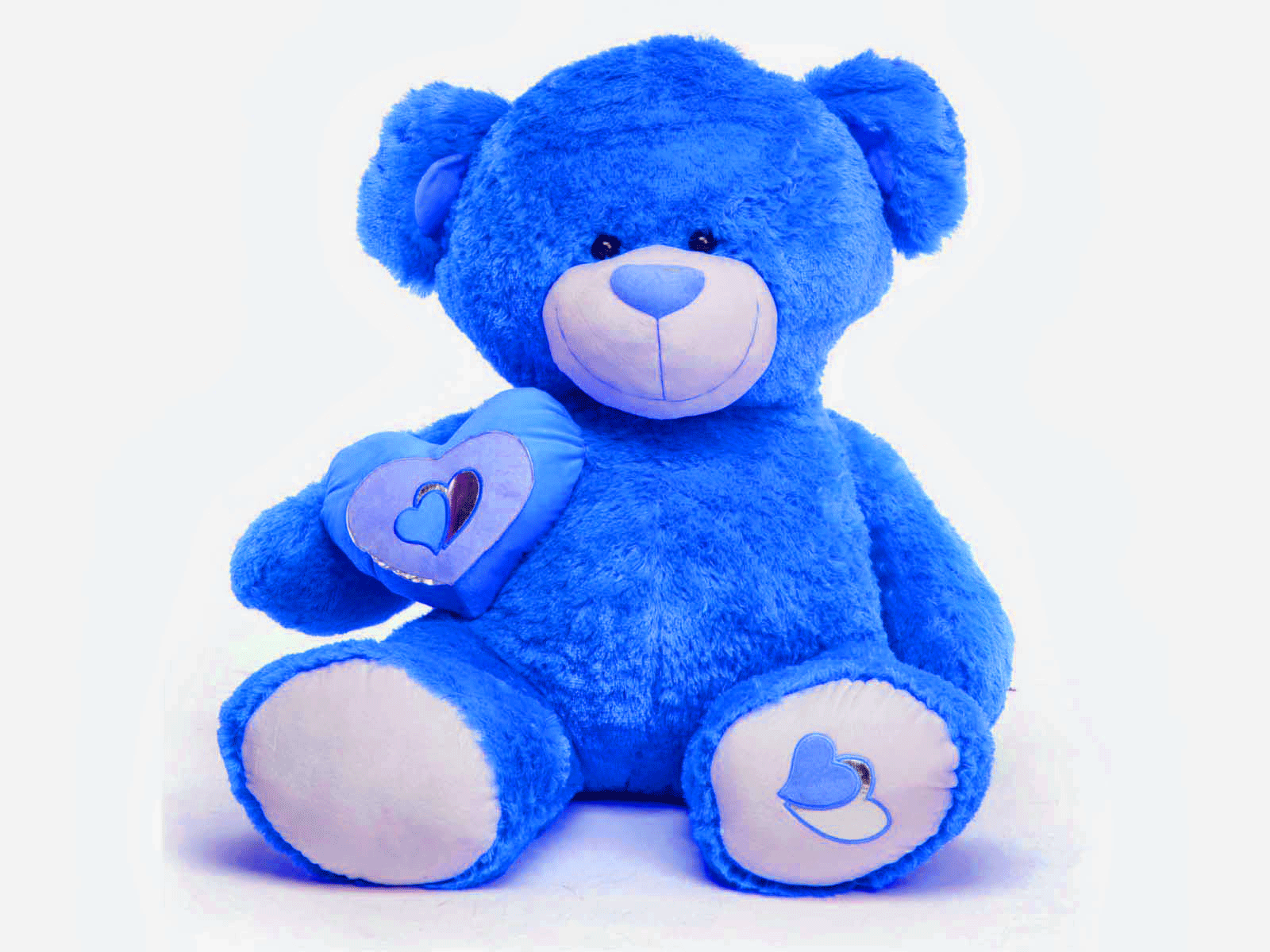 Blue Bear Wallpapers