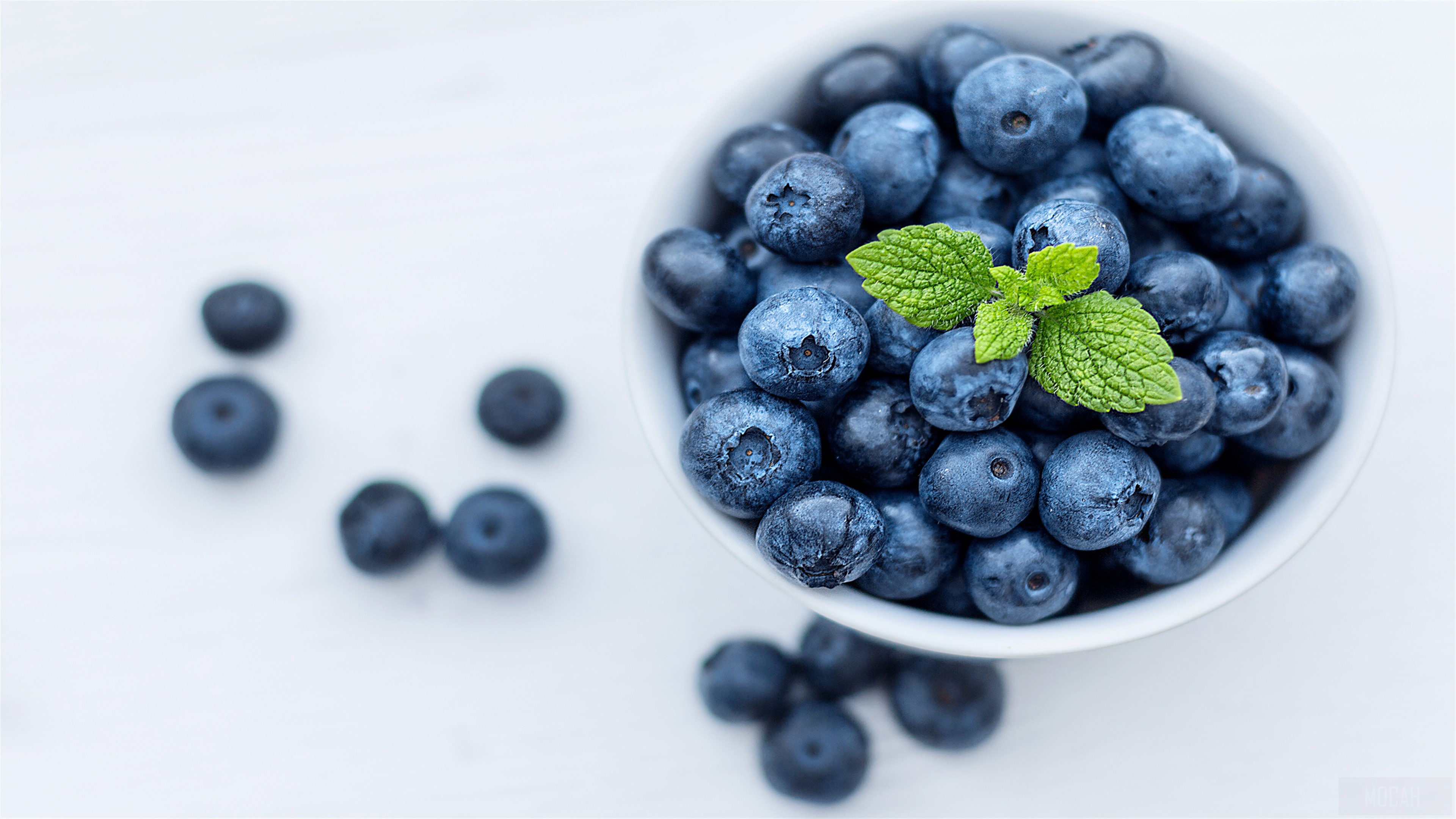 Blue Berry Wallpapers