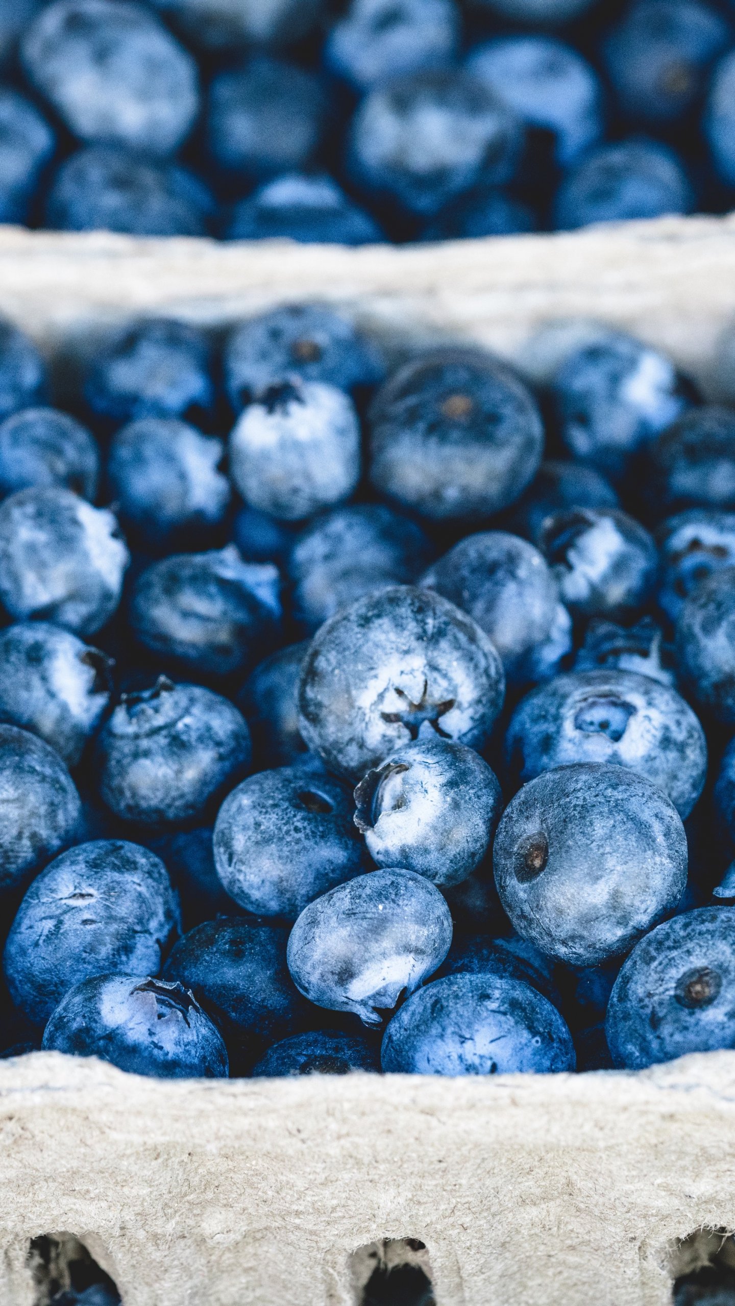 Blue Berry Wallpapers