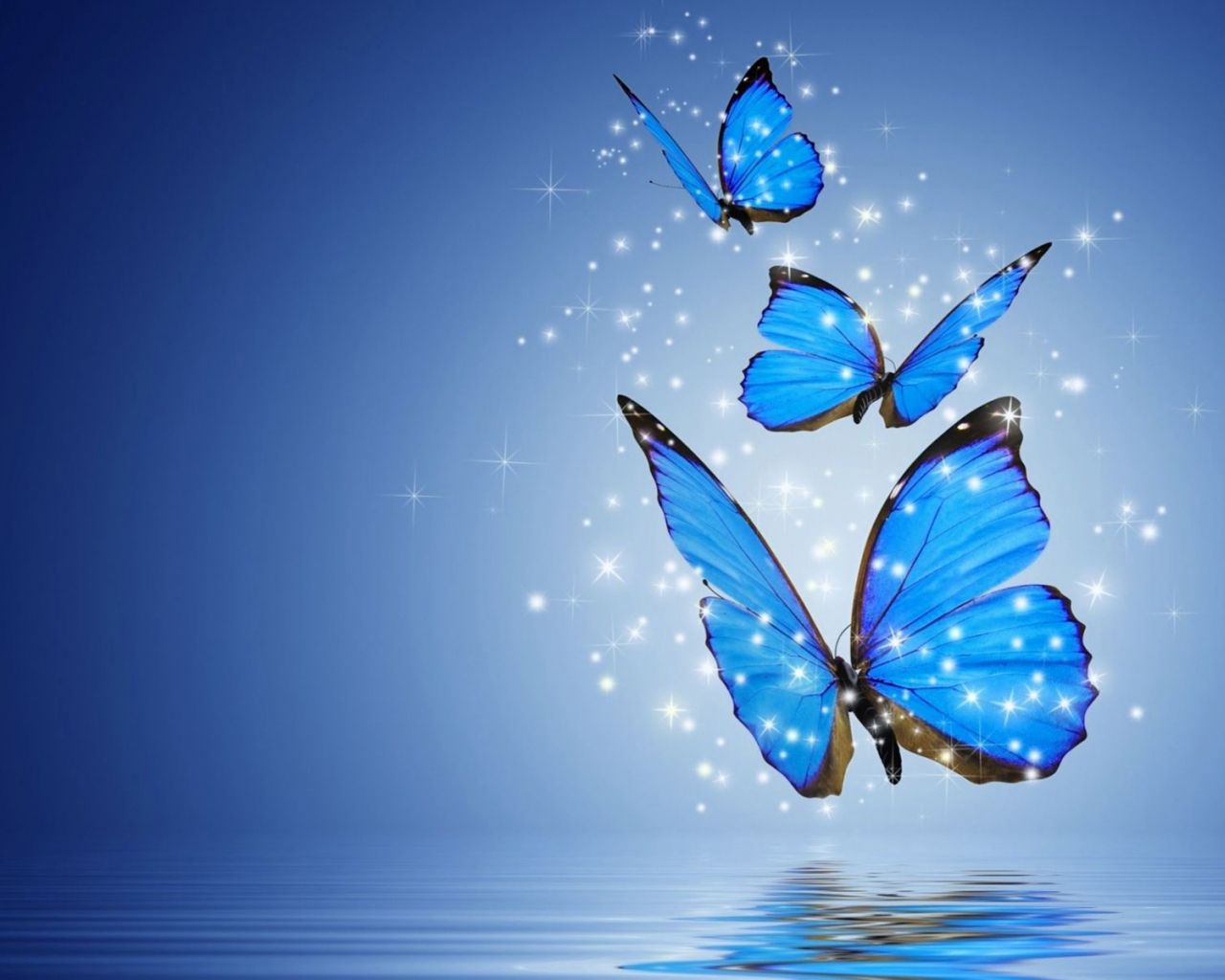 Blue Butterflies Aesthetic Wallpapers