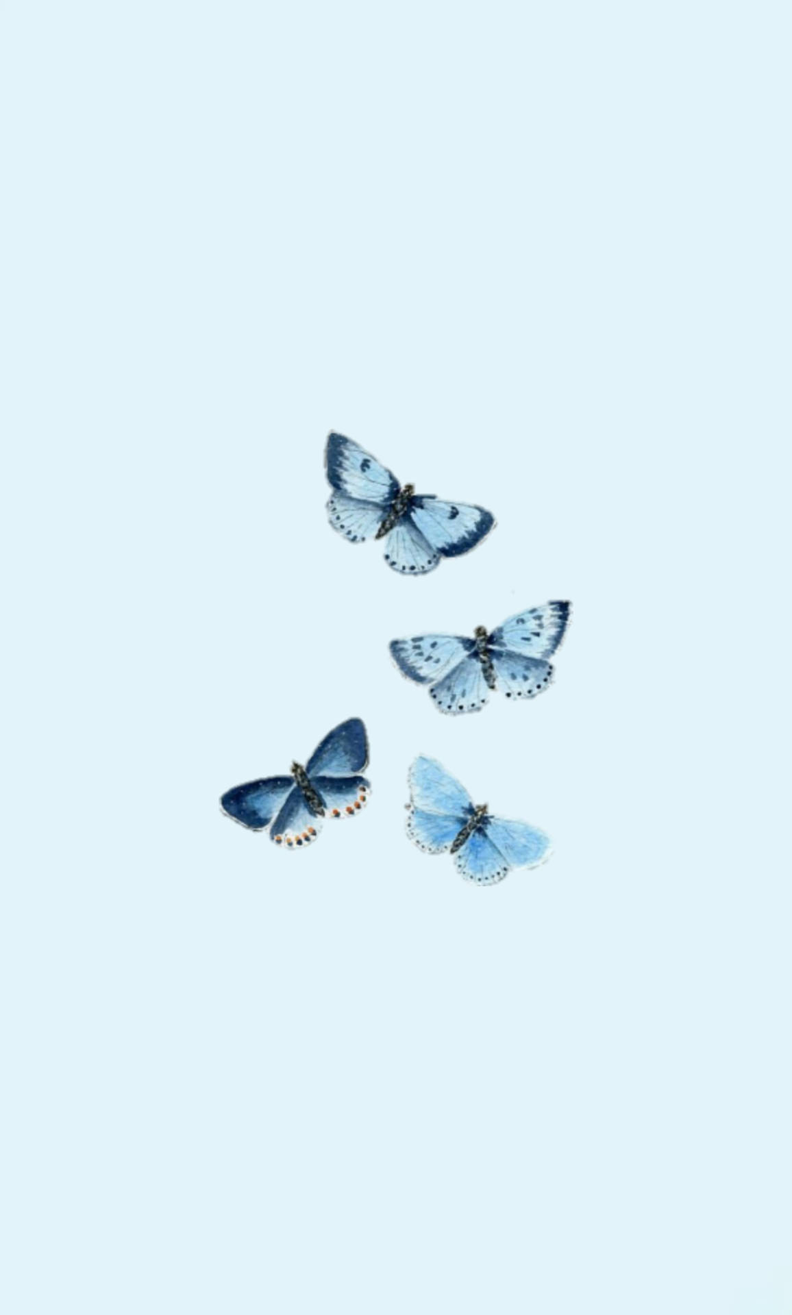 Blue Butterflies Aesthetic Wallpapers