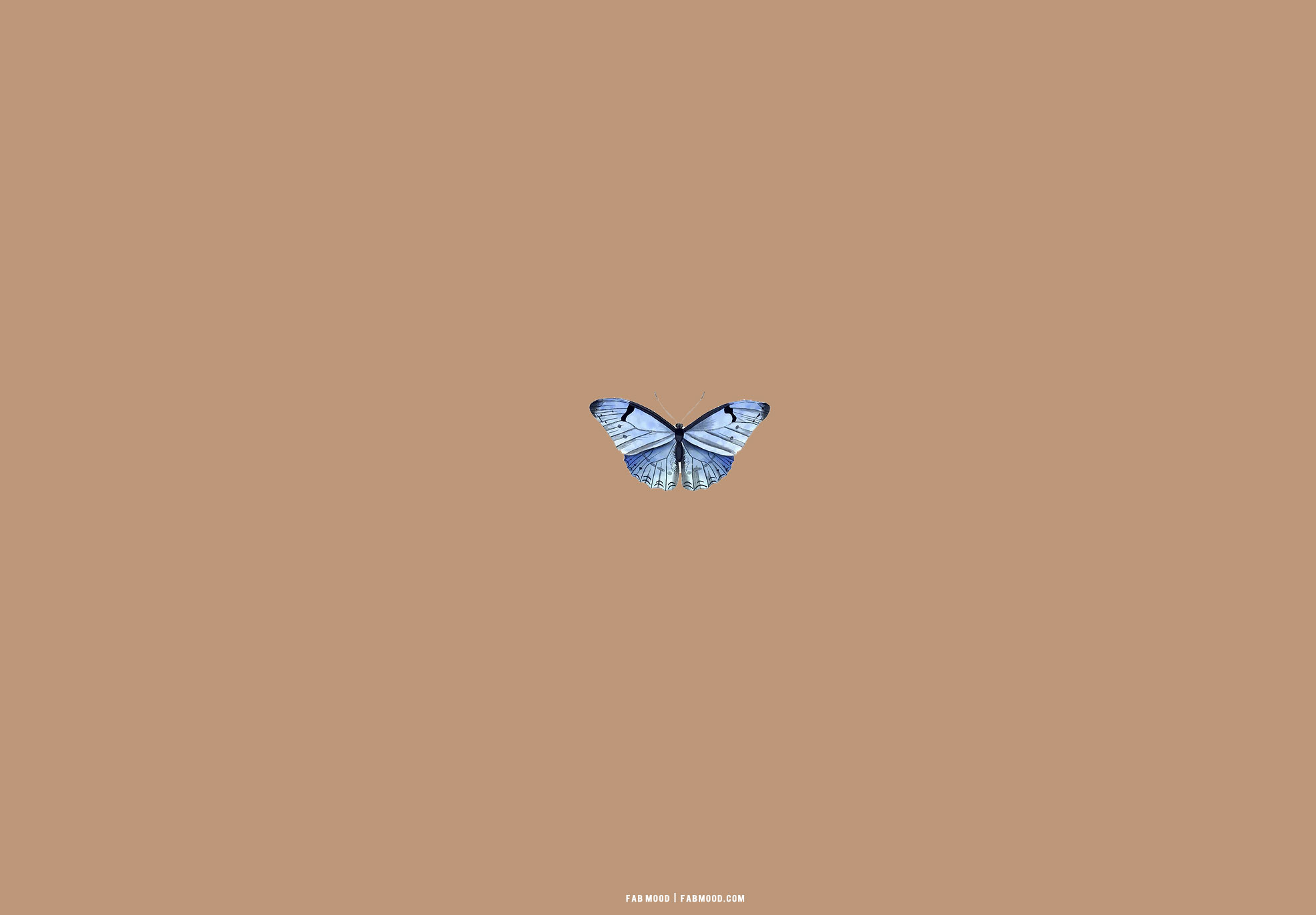 Blue Butterflies Aesthetic Wallpapers