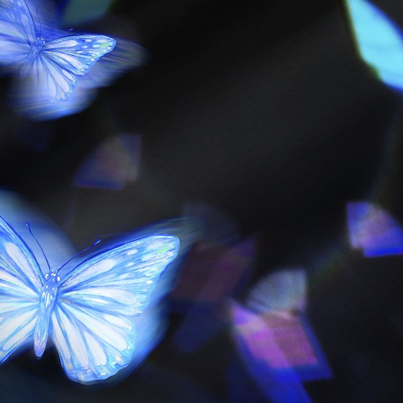 Blue Butterflies Aesthetic Wallpapers