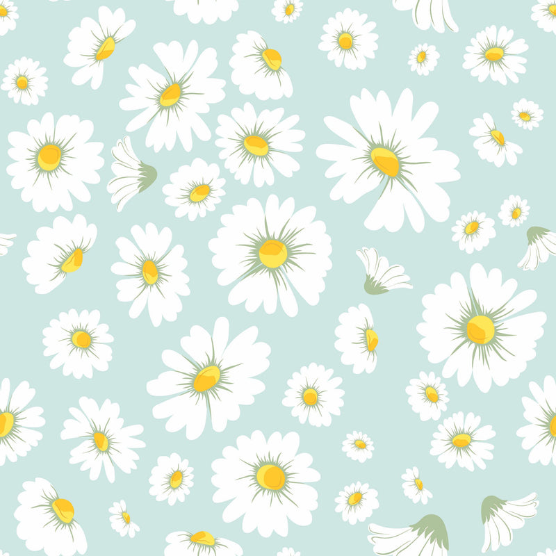 Blue Daisy Wallpapers