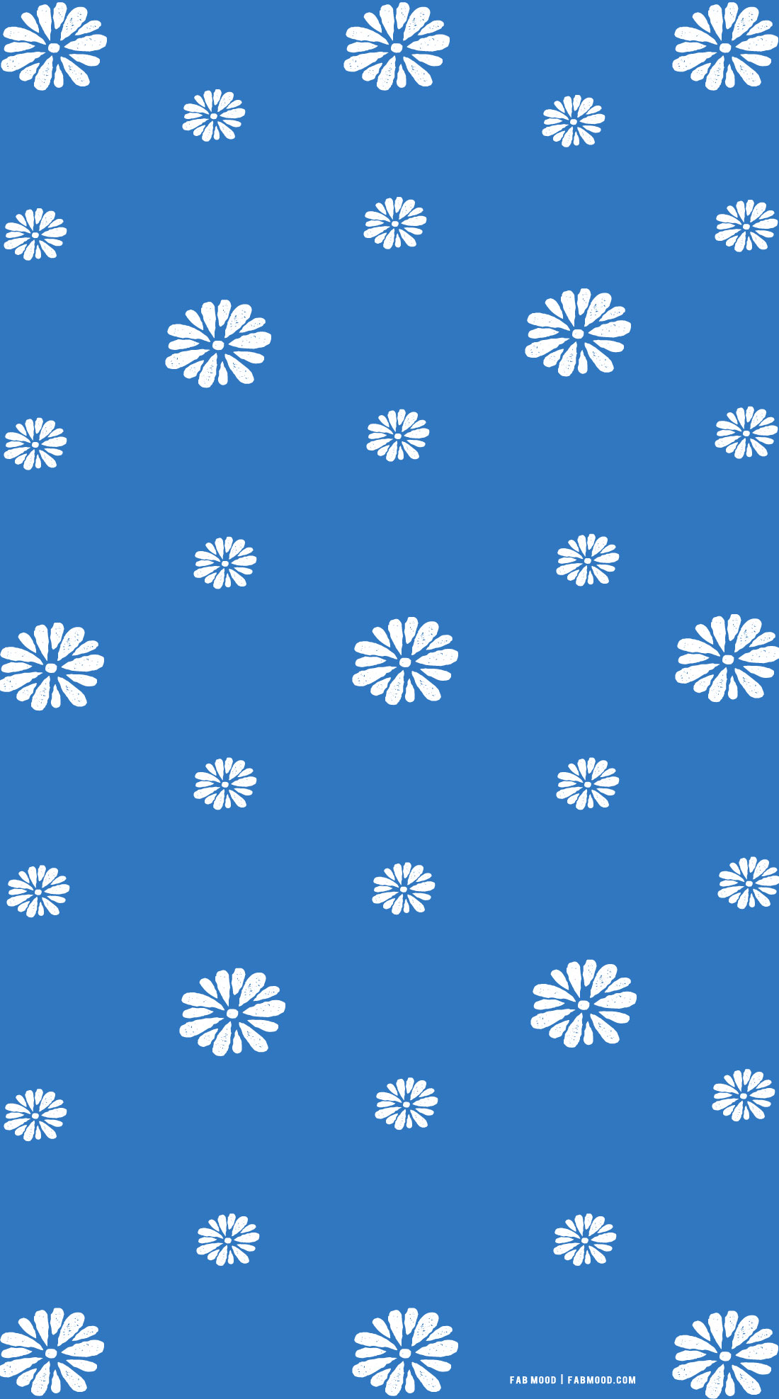 Blue Daisy Wallpapers