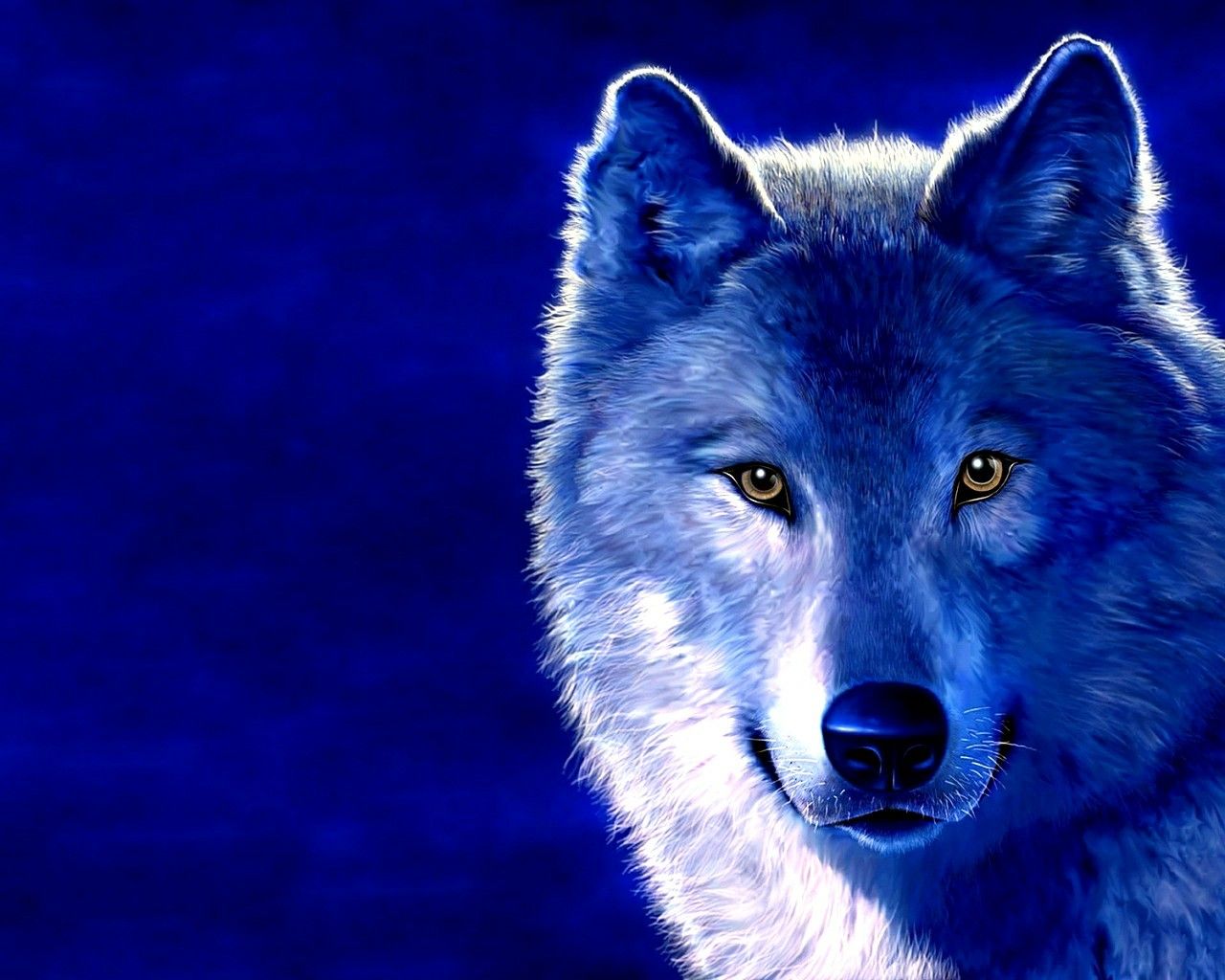 Blue Dog Wallpapers