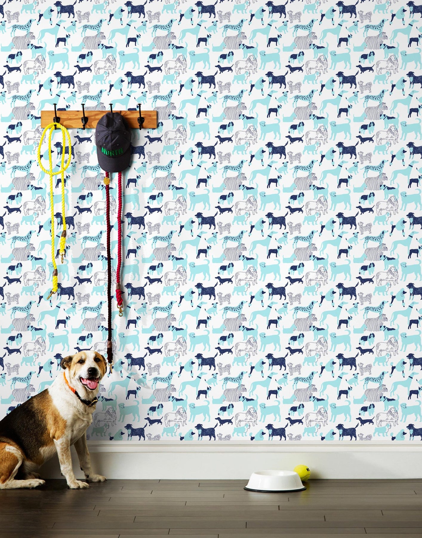 Blue Dog Wallpapers