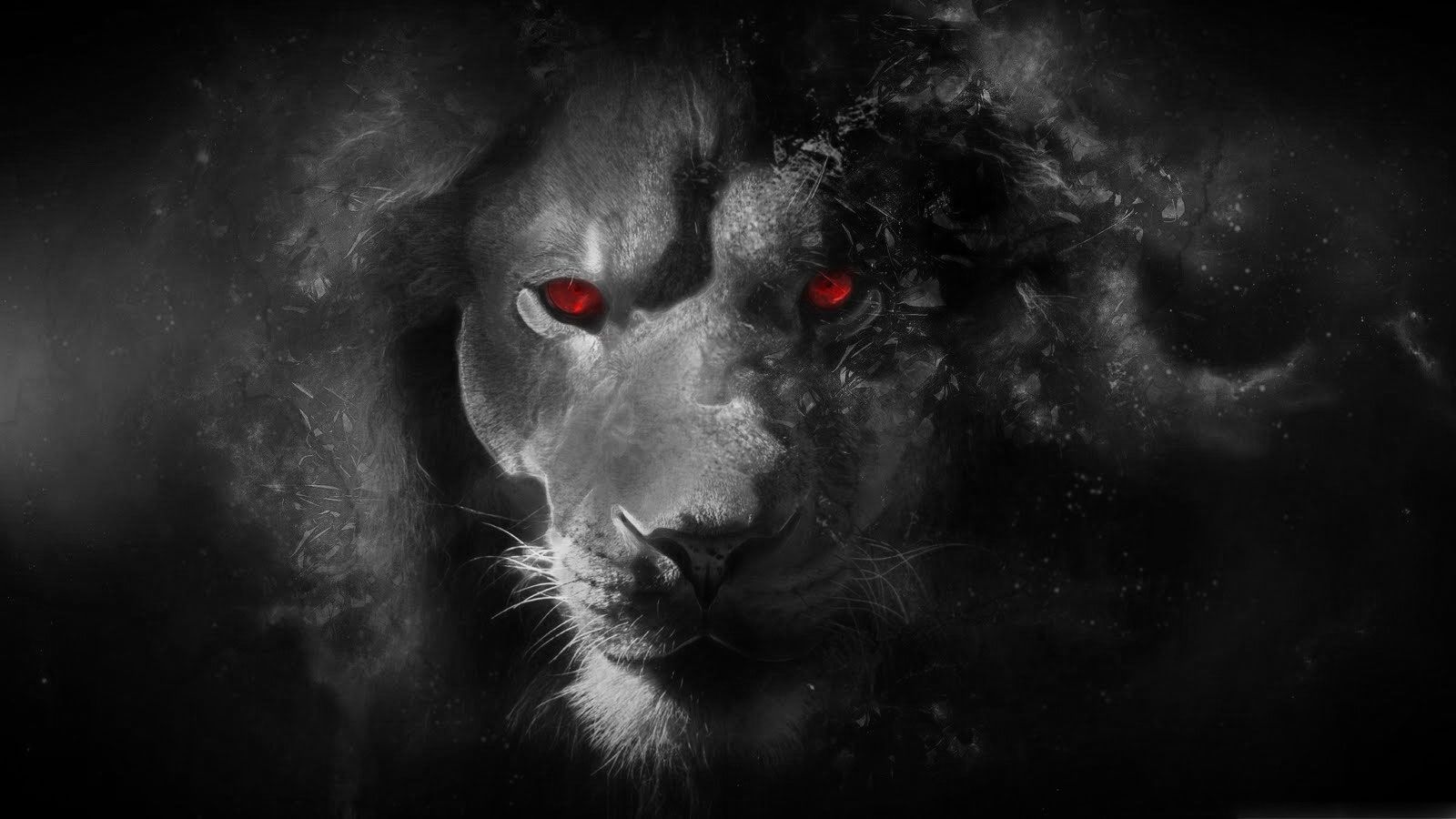 Blue Eye Lion Wallpapers