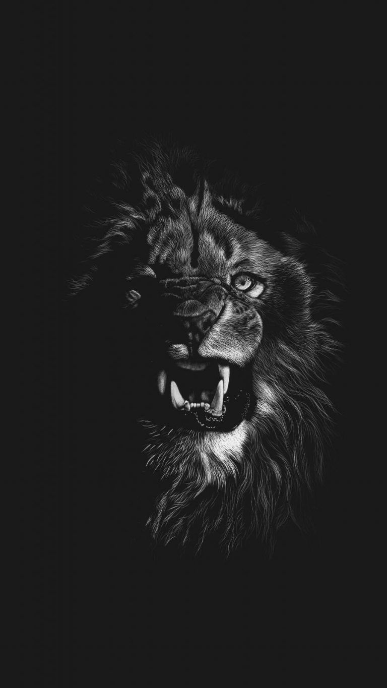 Blue Eye Lion Wallpapers