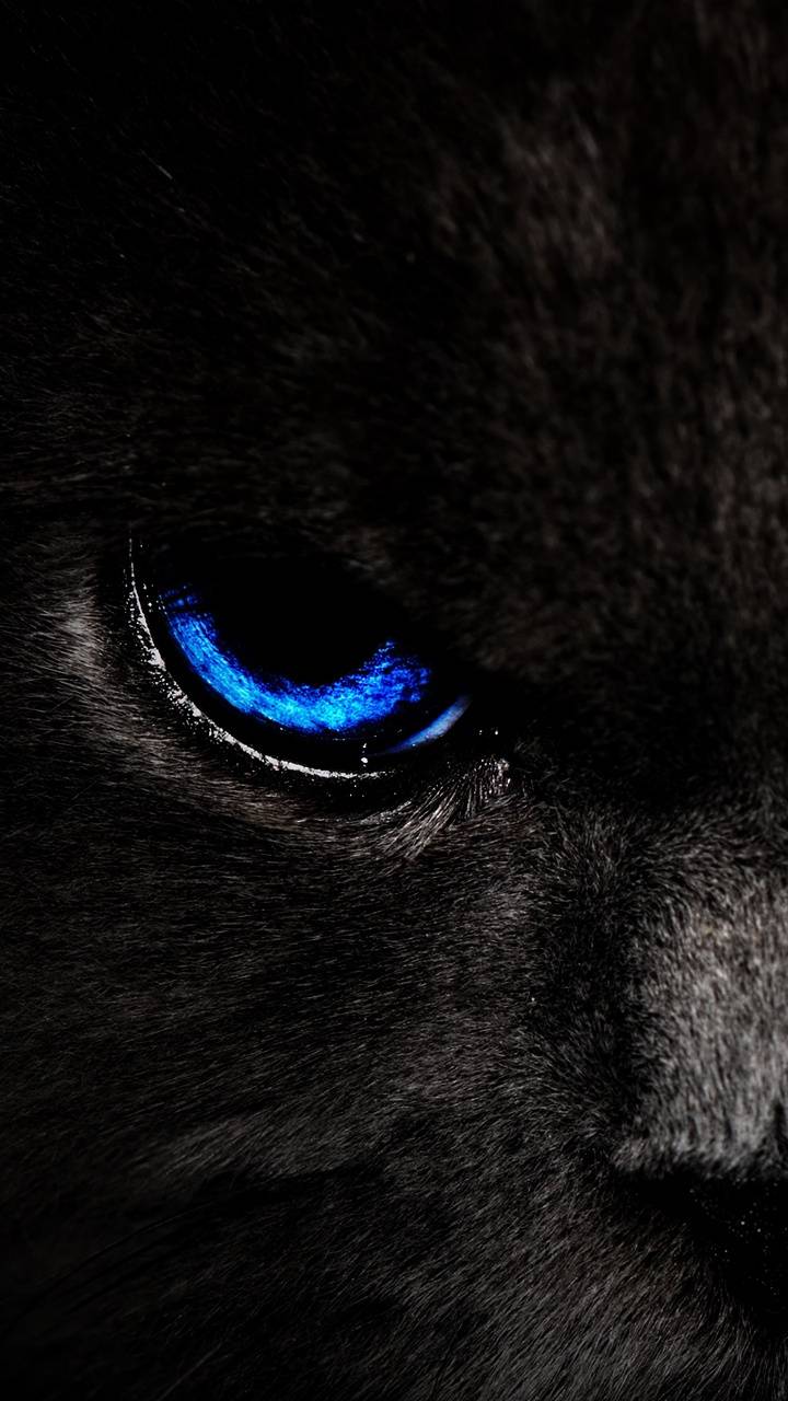 Blue Eye Wallpapers