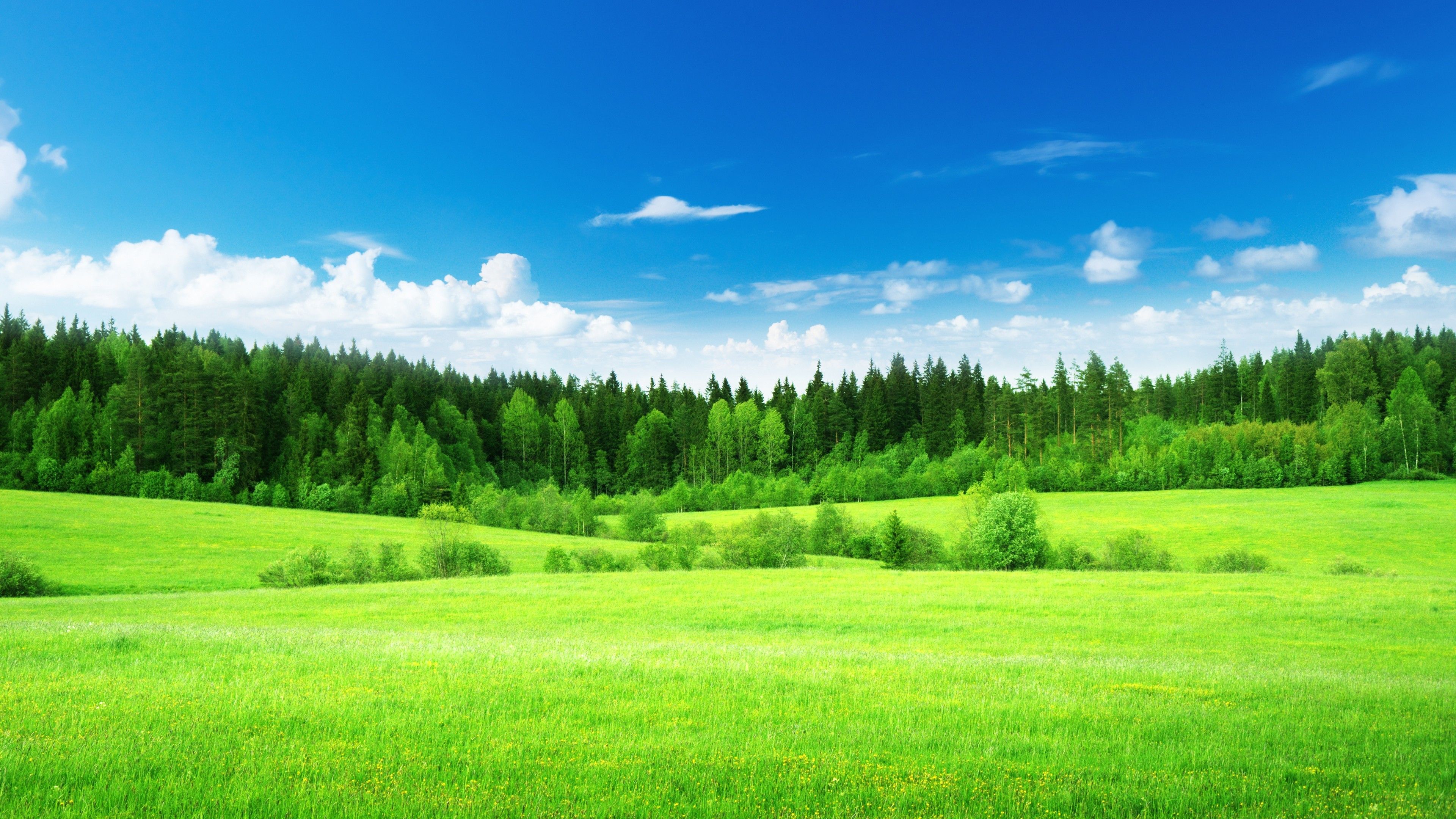 Blue Green Nature Wallpapers