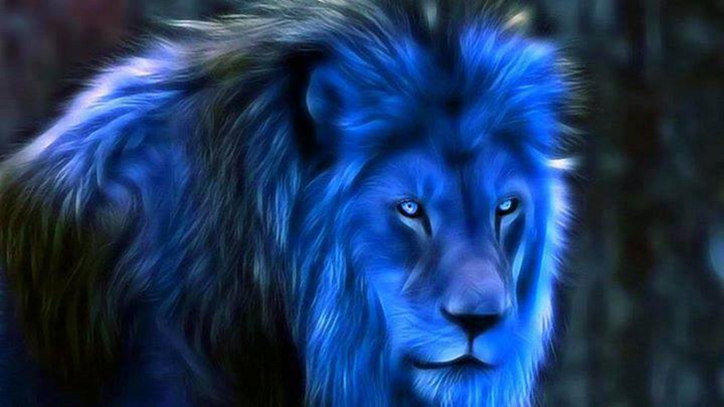 Blue Lion Wallpapers