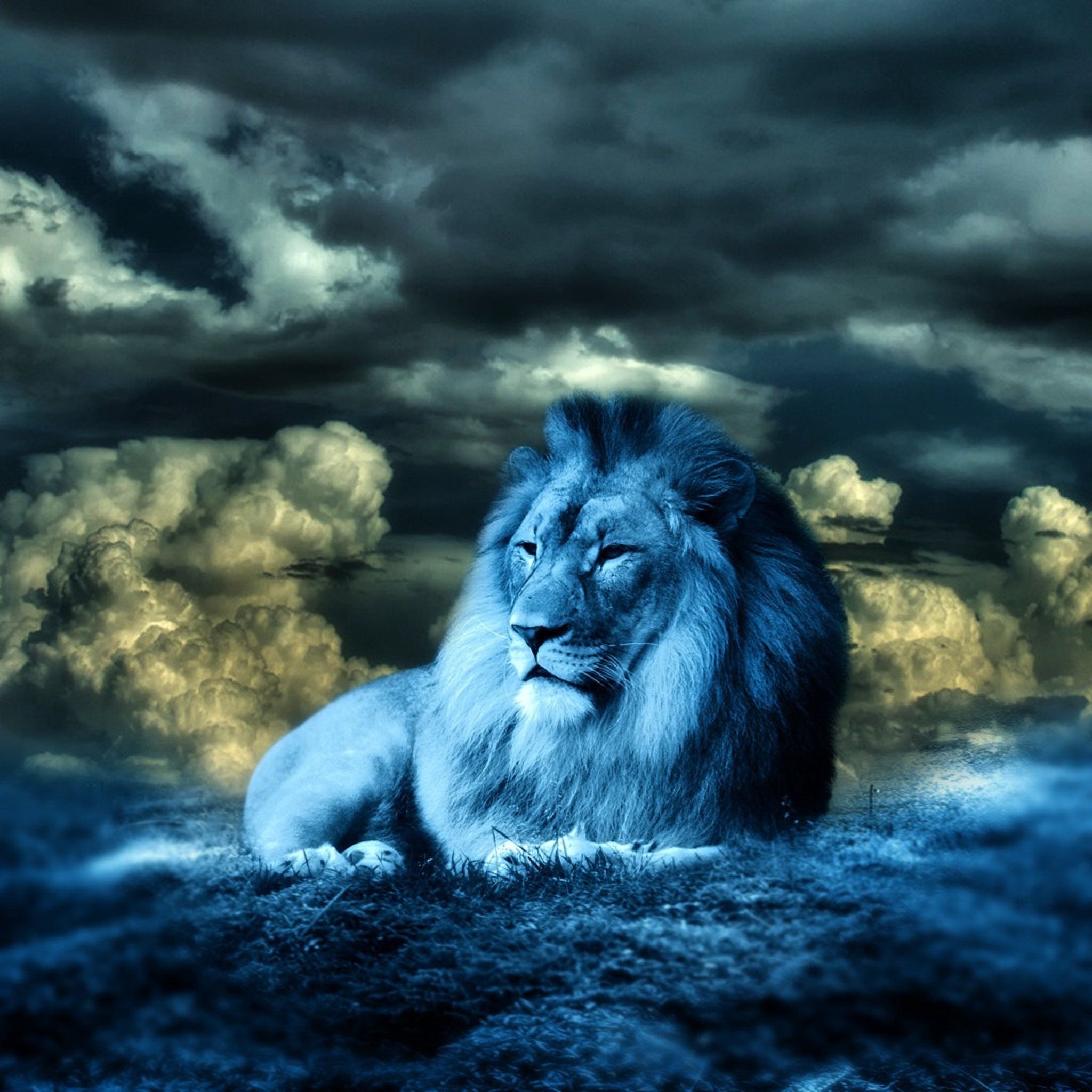 Blue Lion Wallpapers